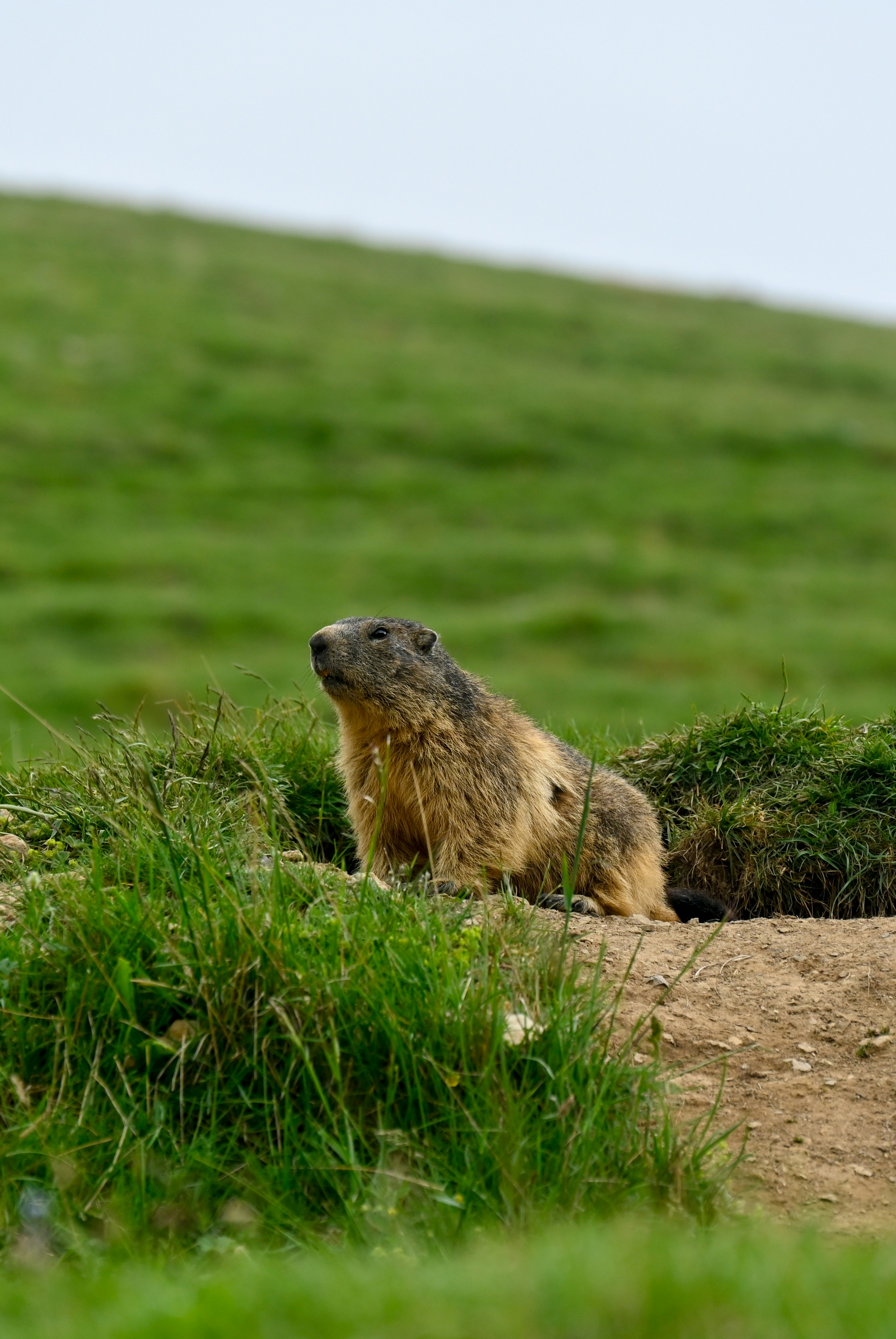 Photo by ferranventura