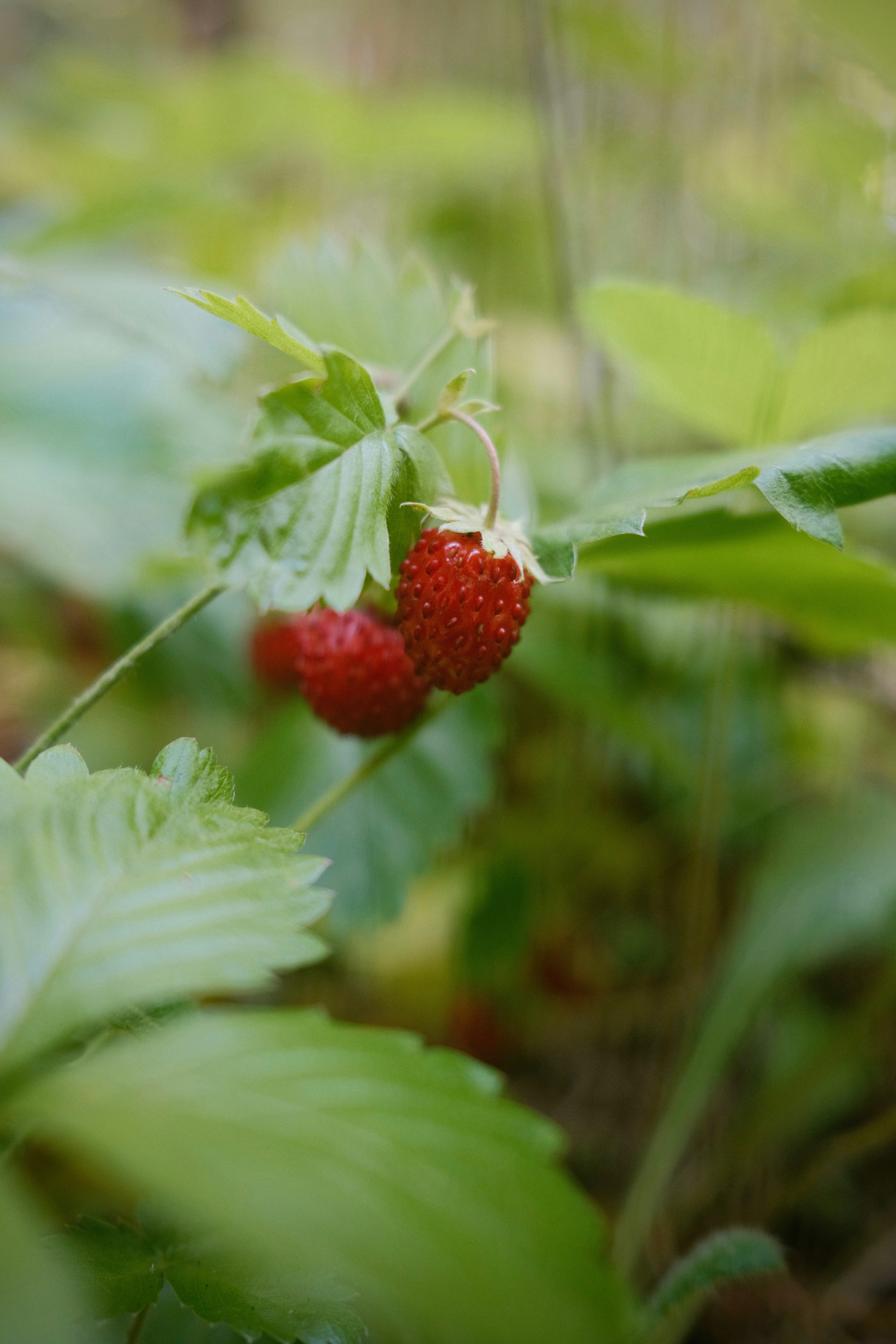 Photo by yuliya_grch