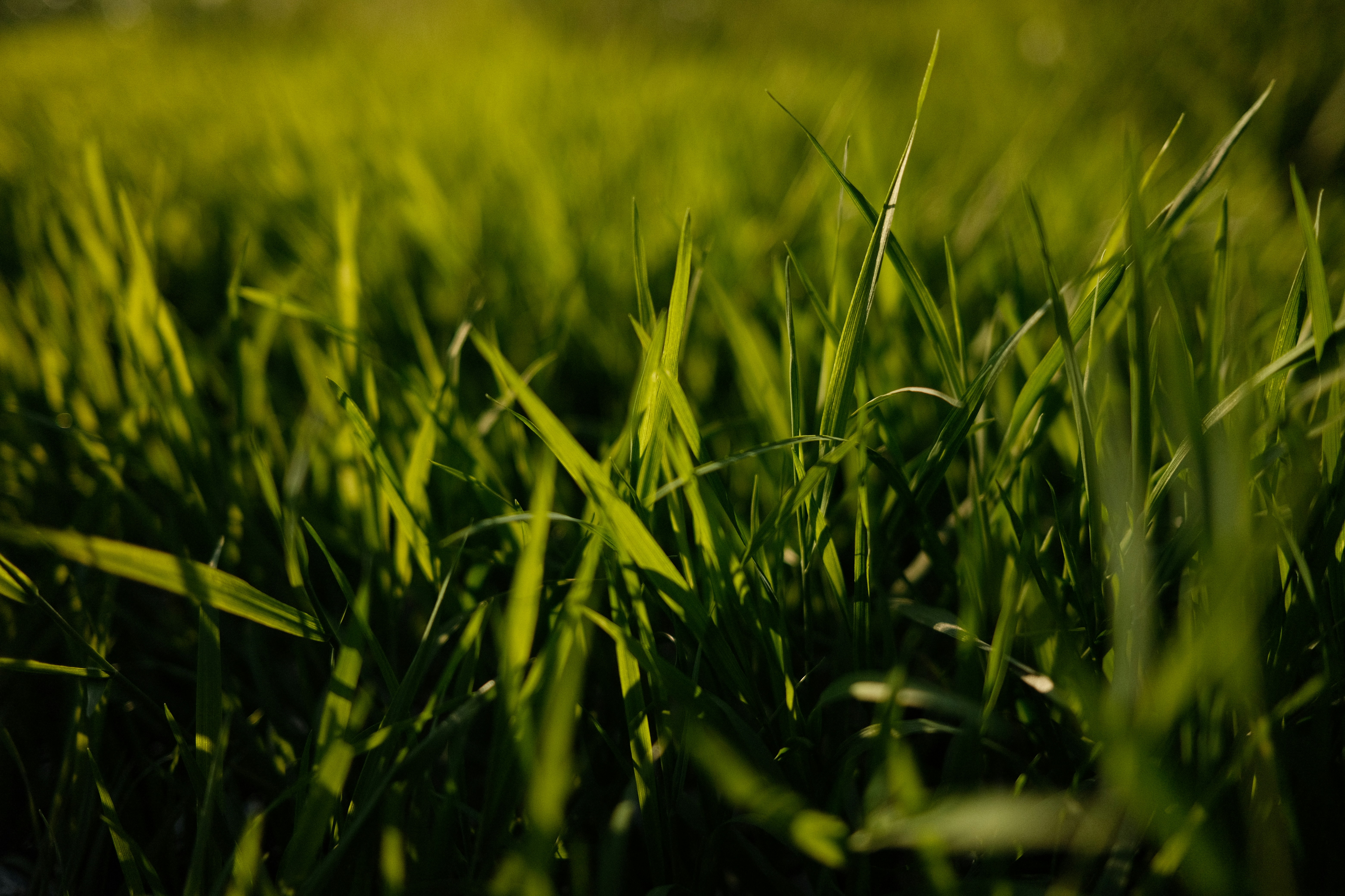 Rentrée 2025 entre prudence et espoir face aux enjeux de l’IA