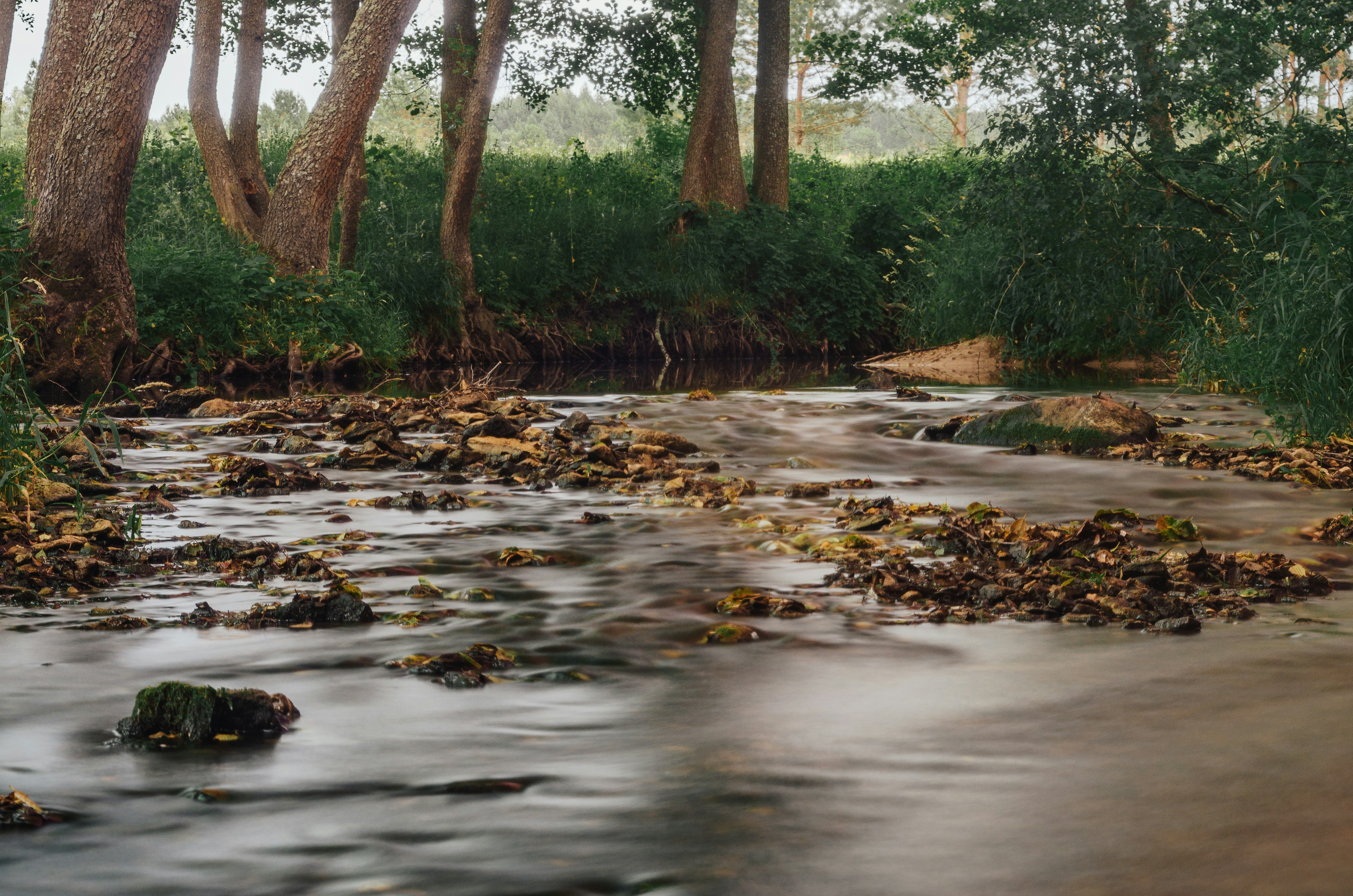 Photo by andrilliardbond