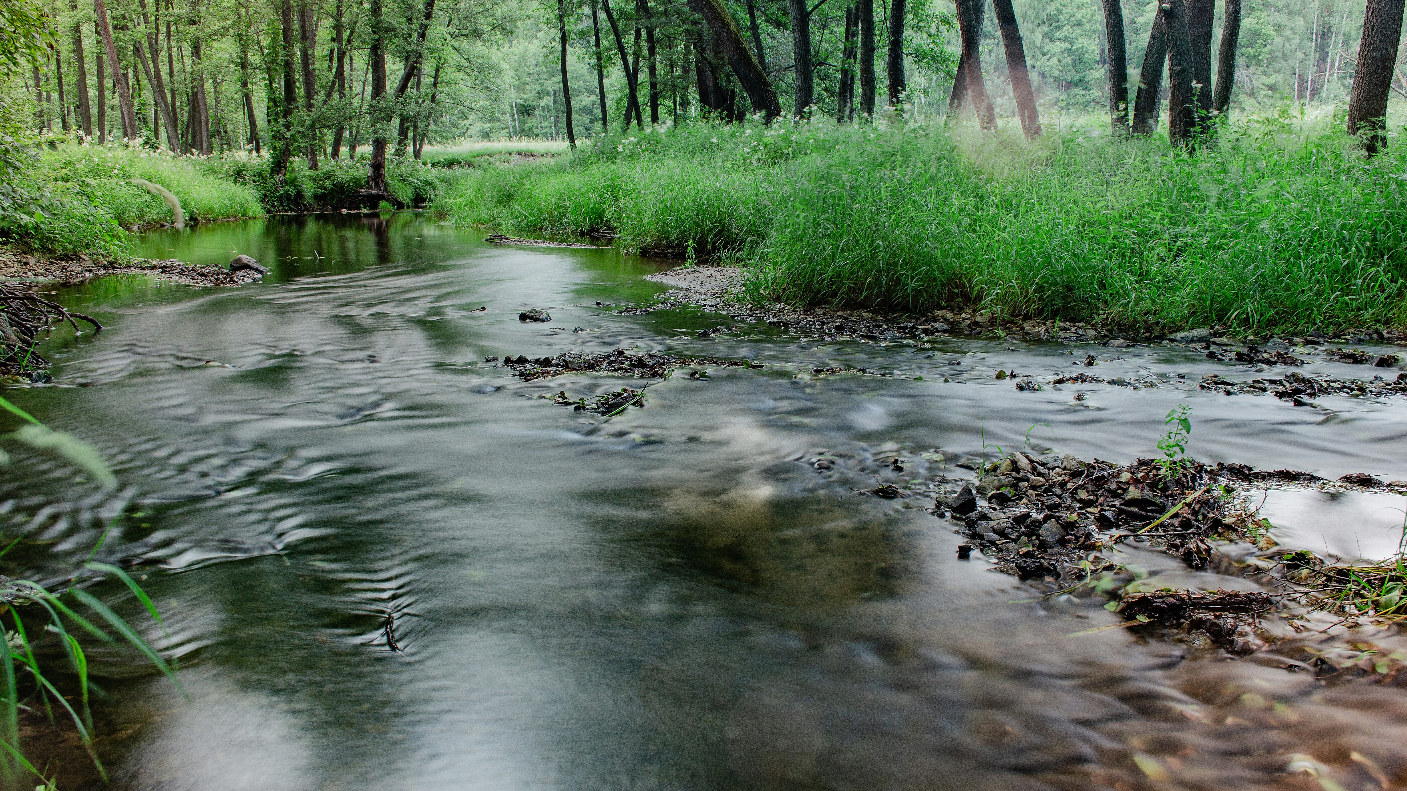 Photo by andrilliardbond