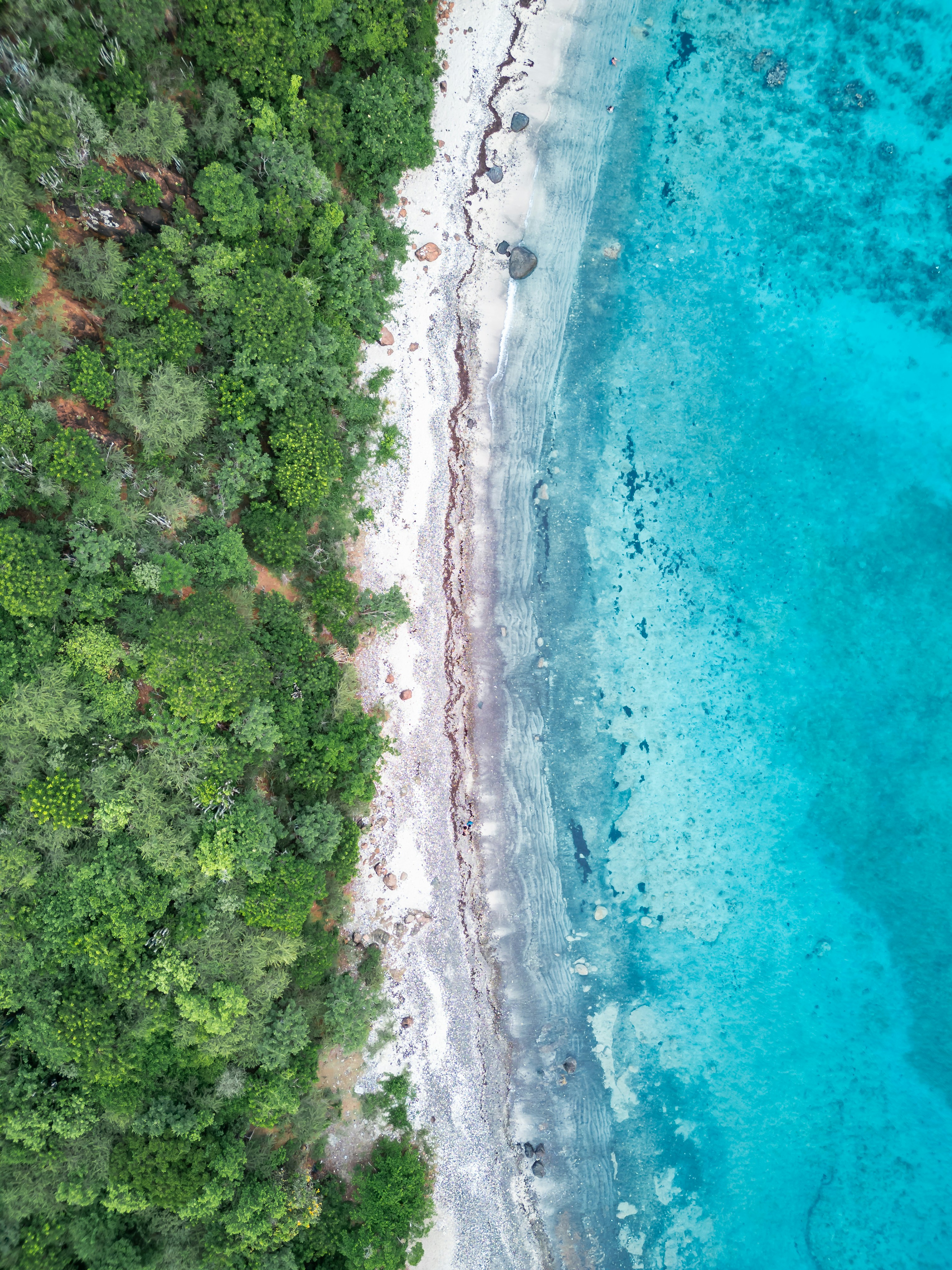 Photo by pedrocambron