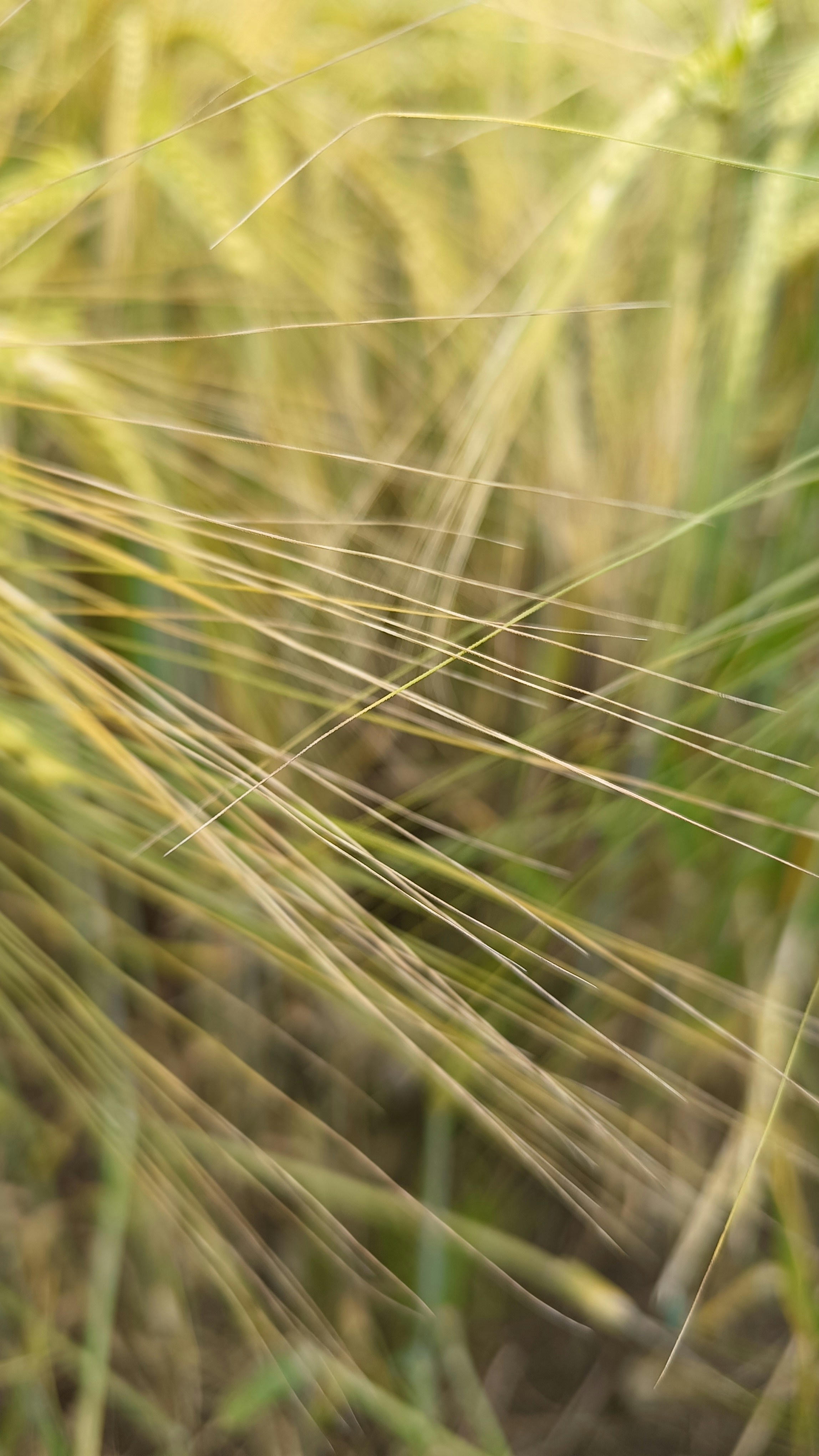 Photo by lena_mastej