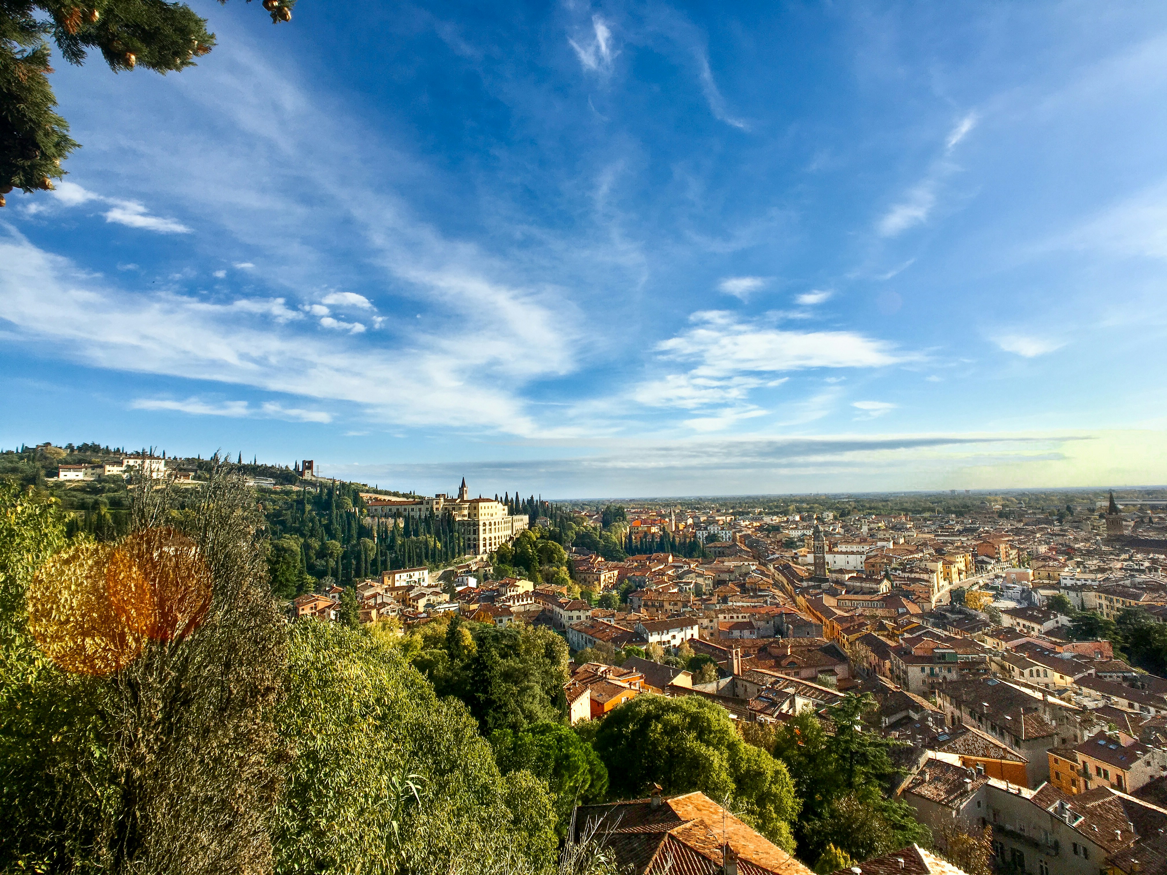 A panoramic view of a city from the top of a hill