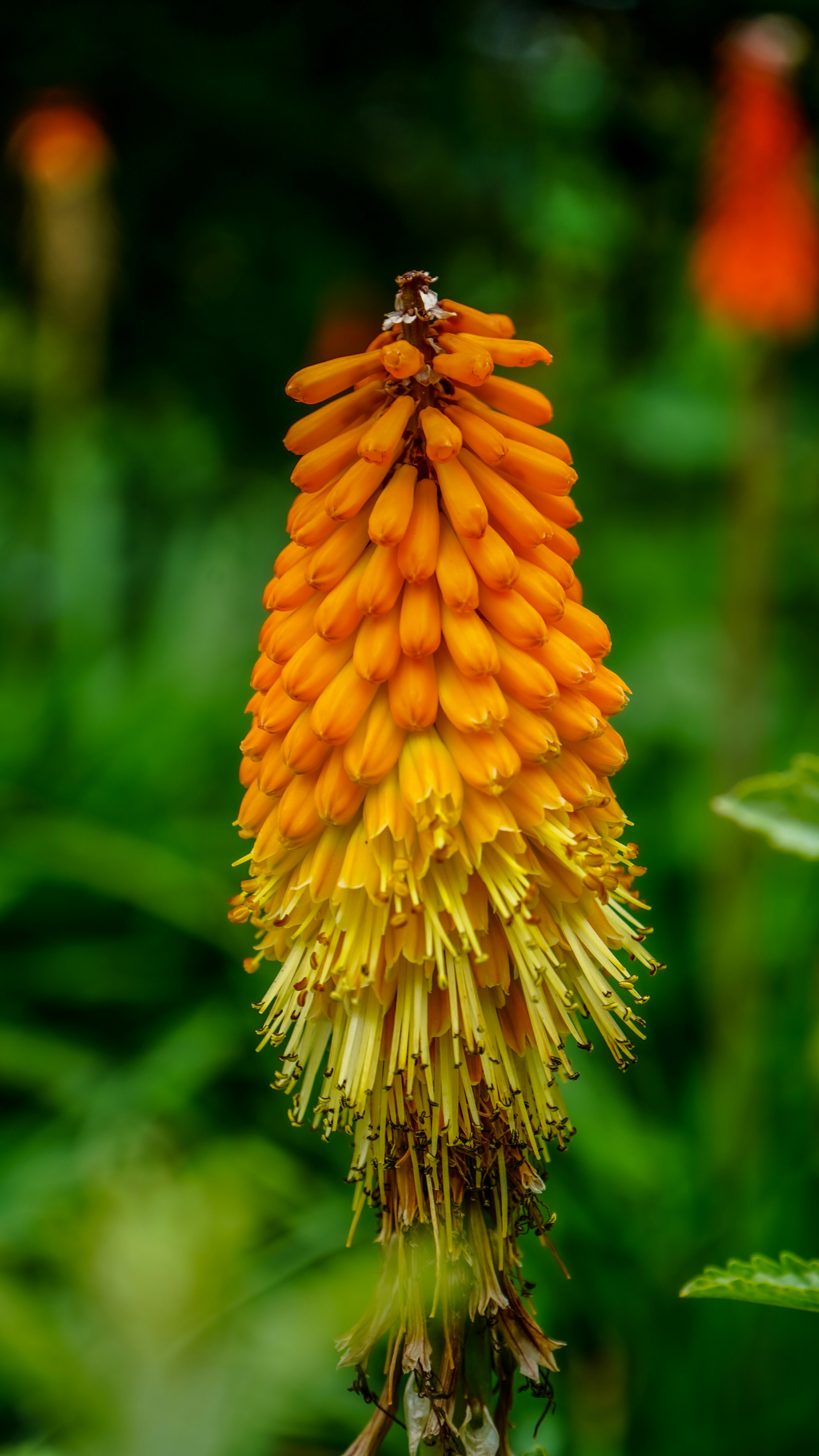 Photo by fatihsimsek