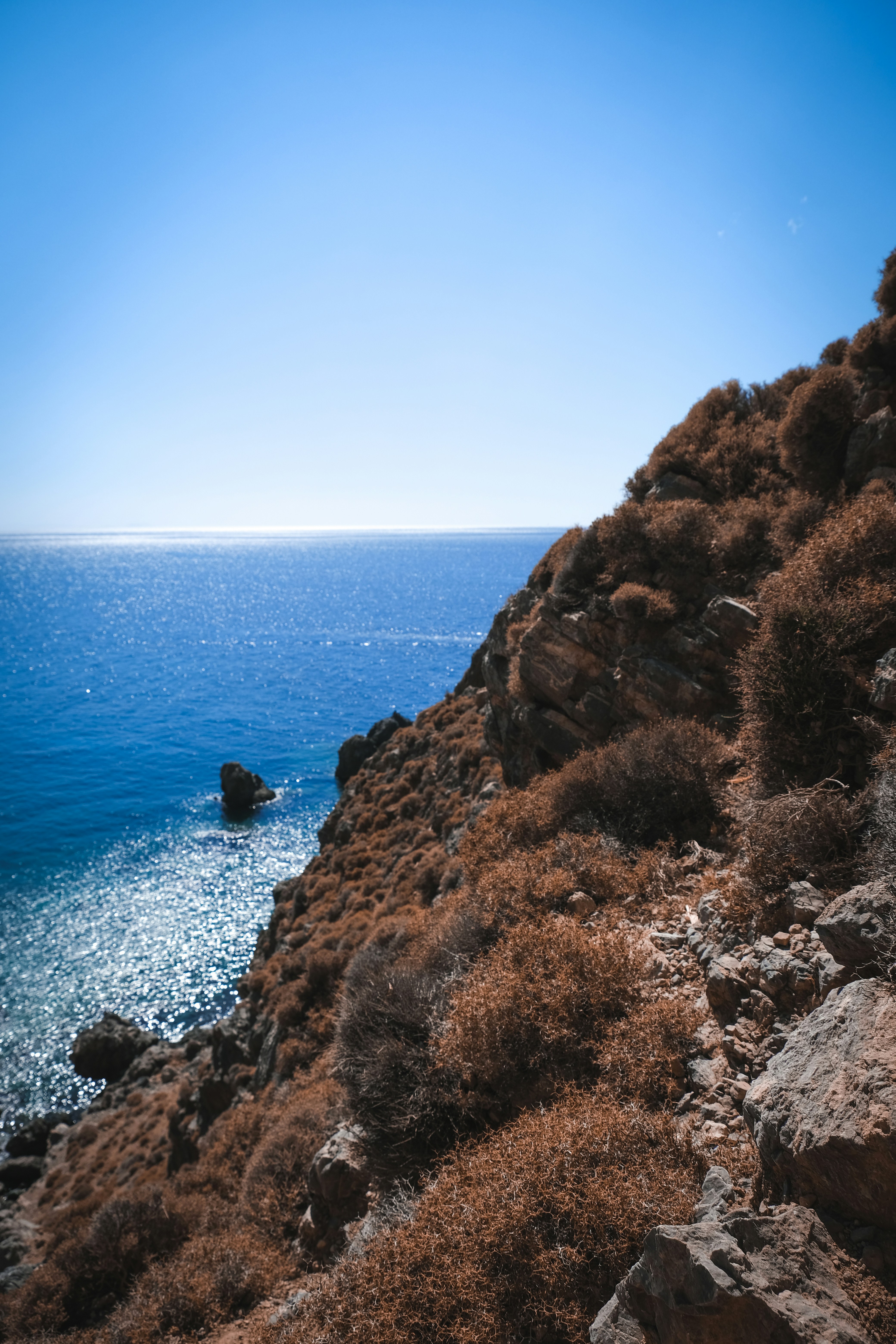 Photo by francesco_ungaro