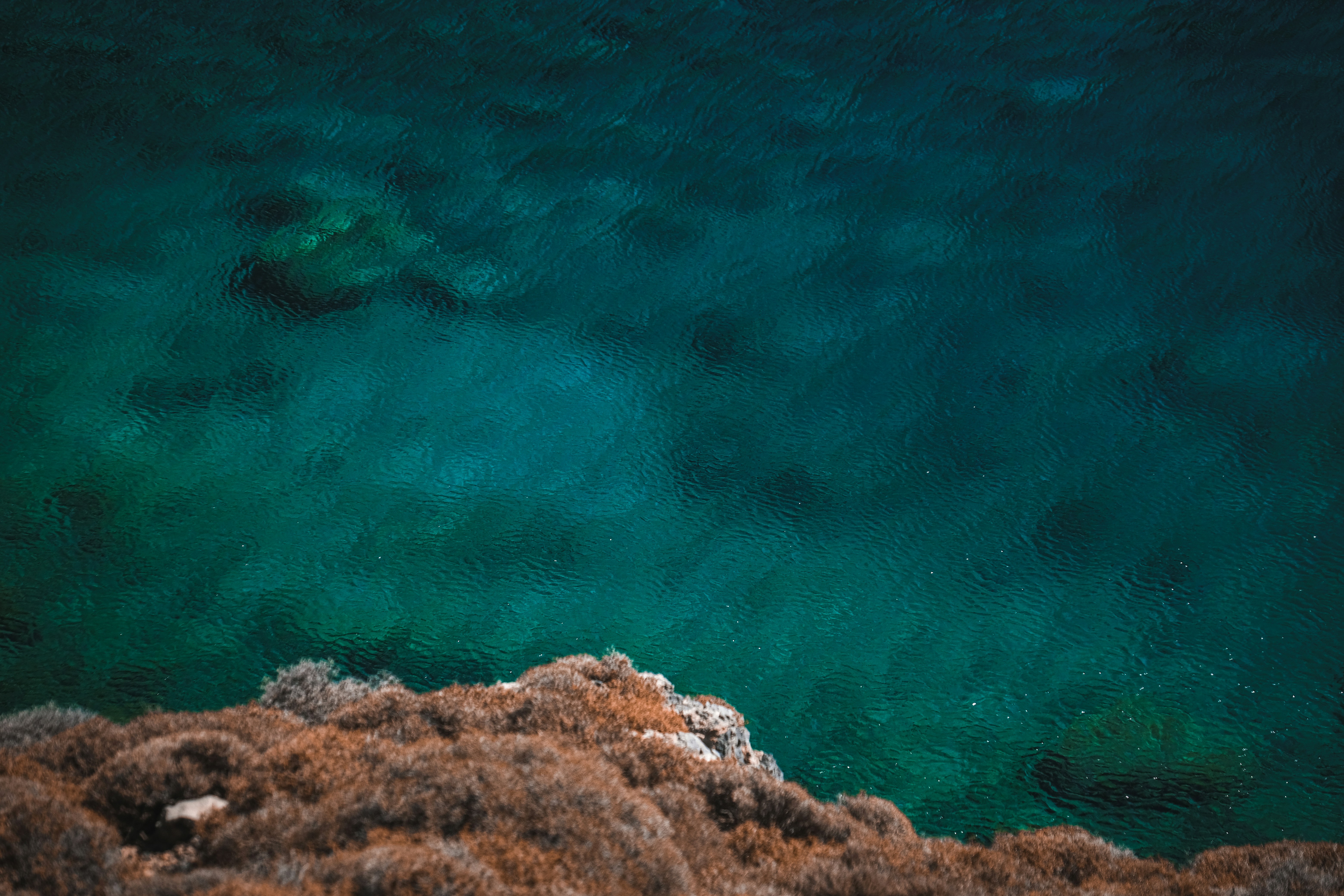 Photo by francesco_ungaro