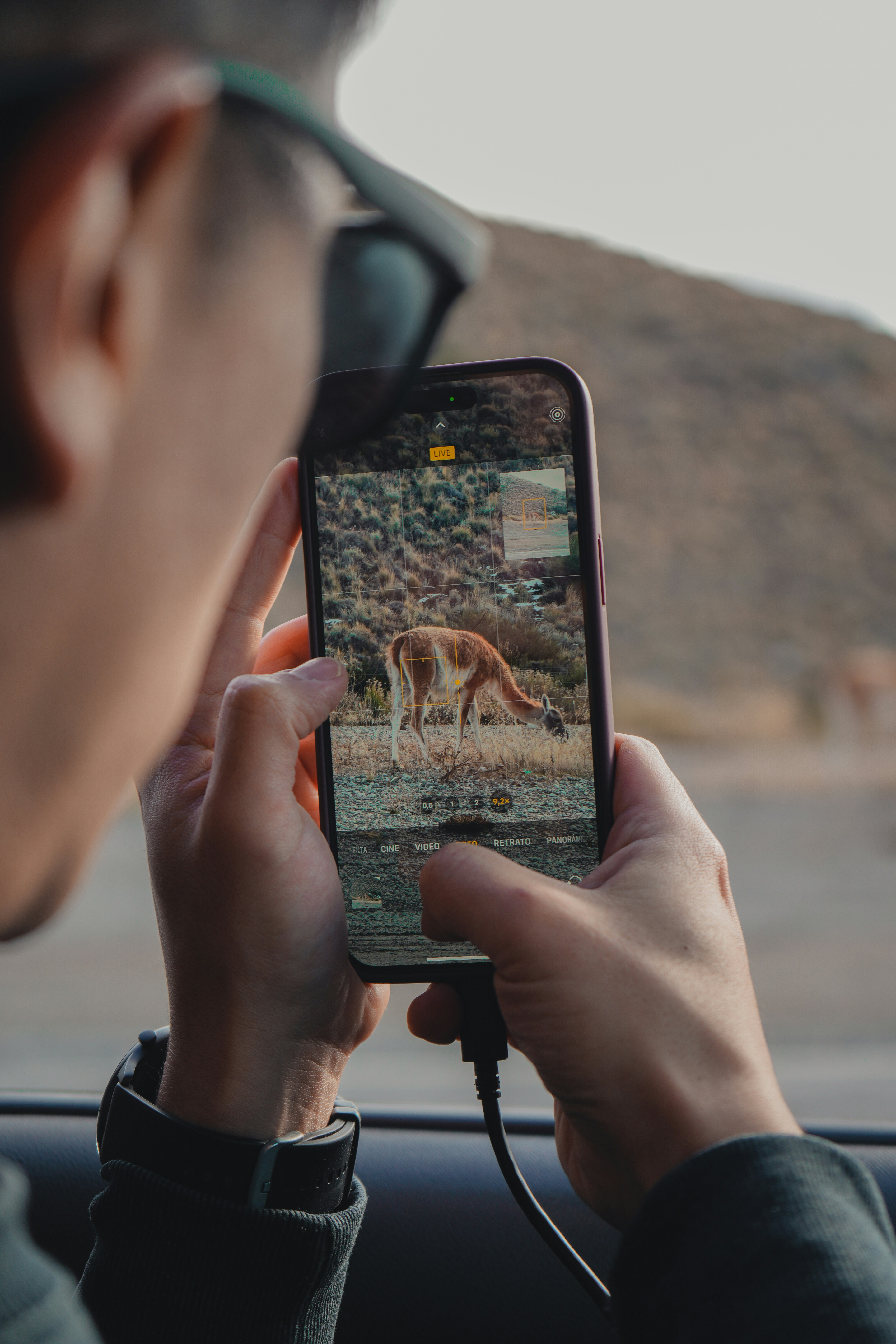 A man is taking a picture of a deer