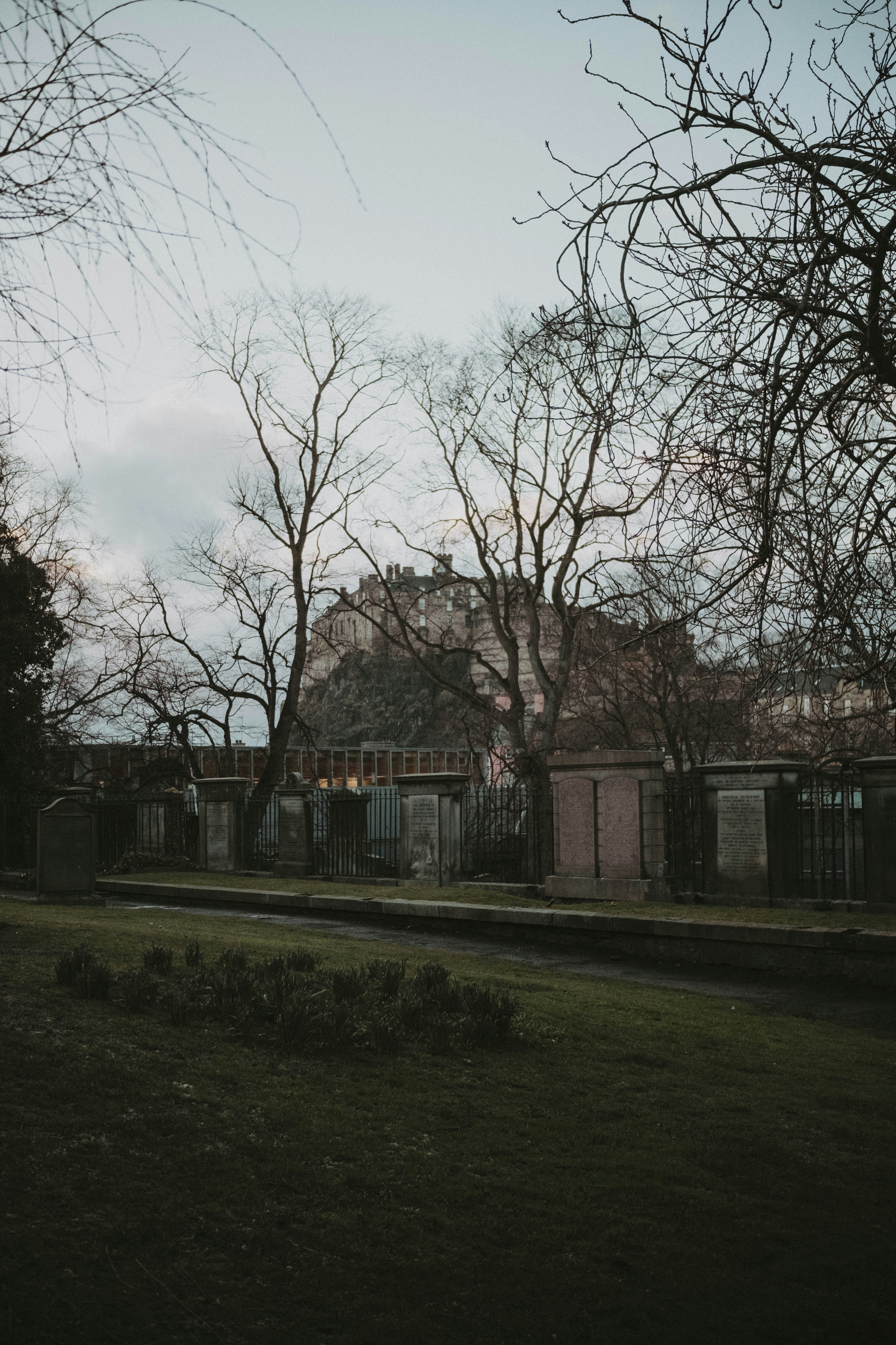 Photo by deadcedrics