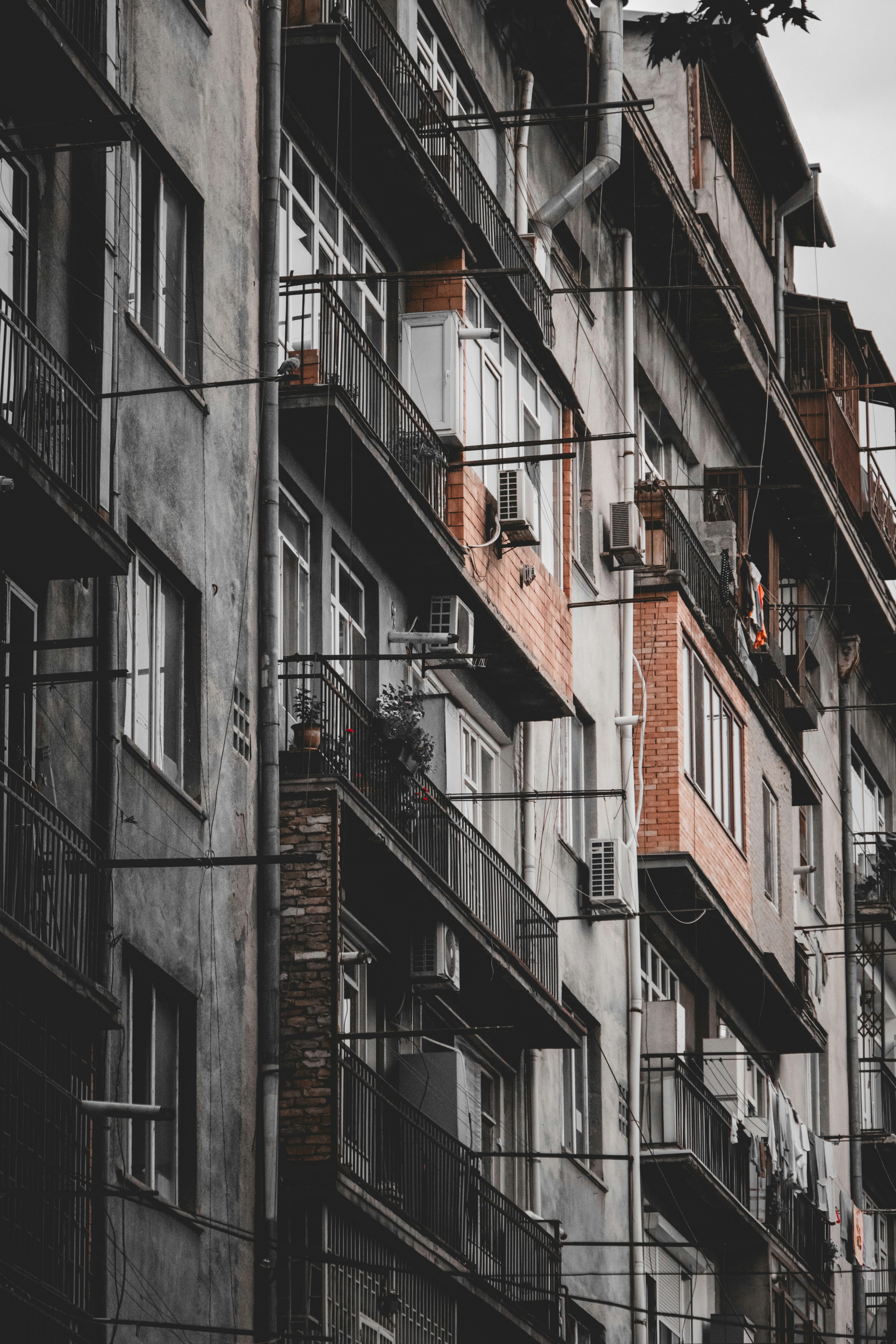 Photo by sameer_srivastava