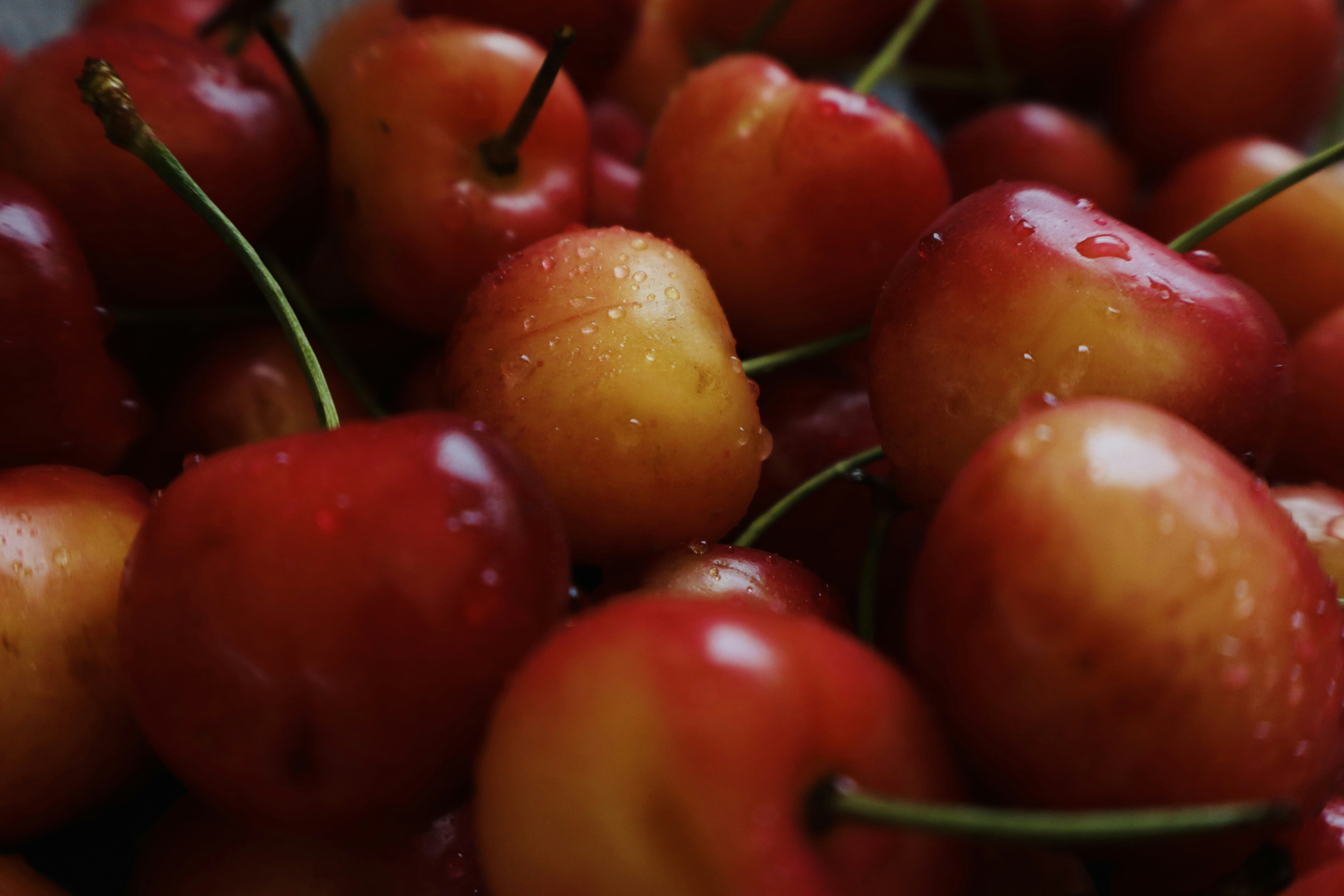 Un gros plan d’un bouquet de cerises