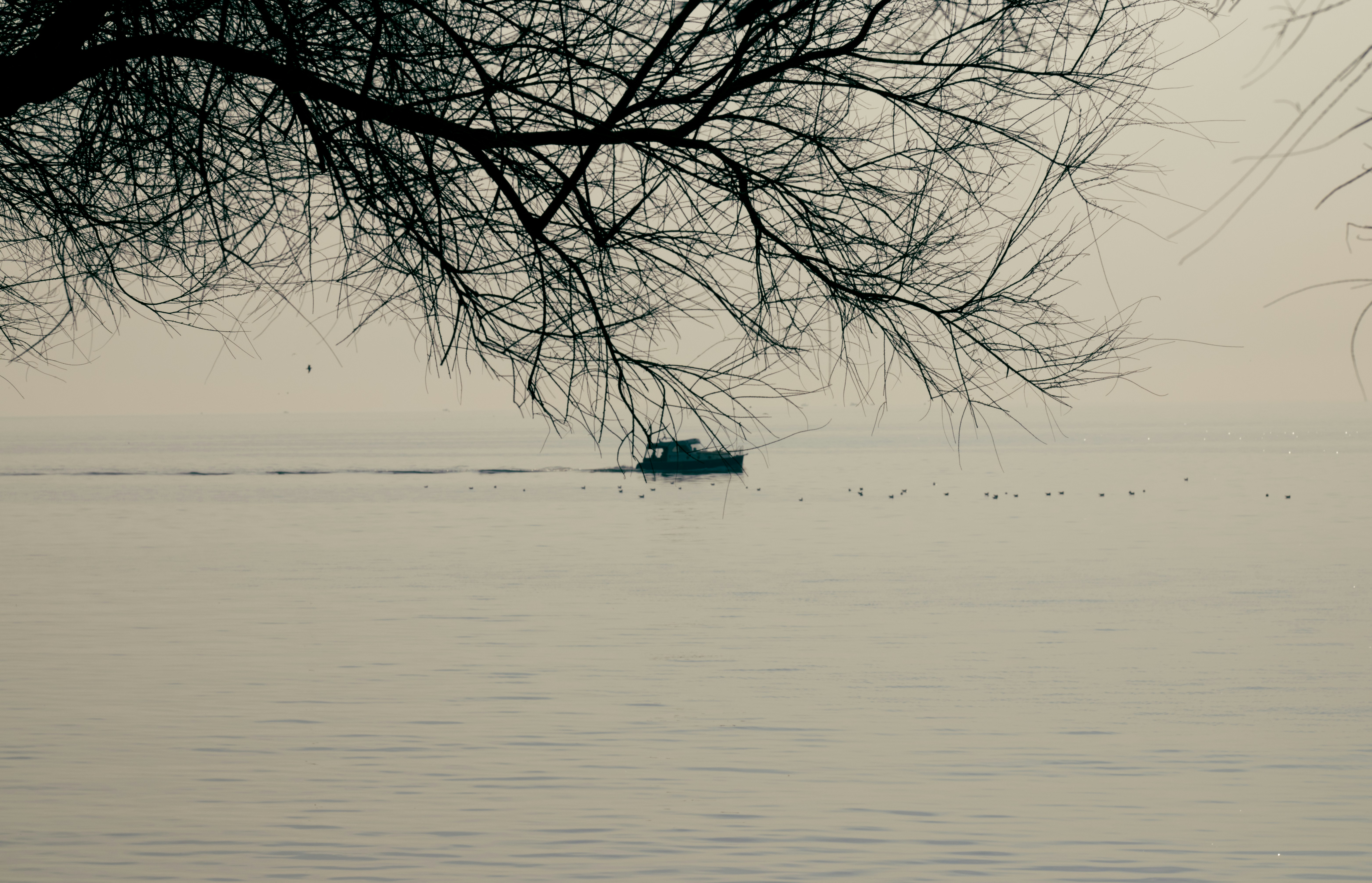 Photo by iozmen
