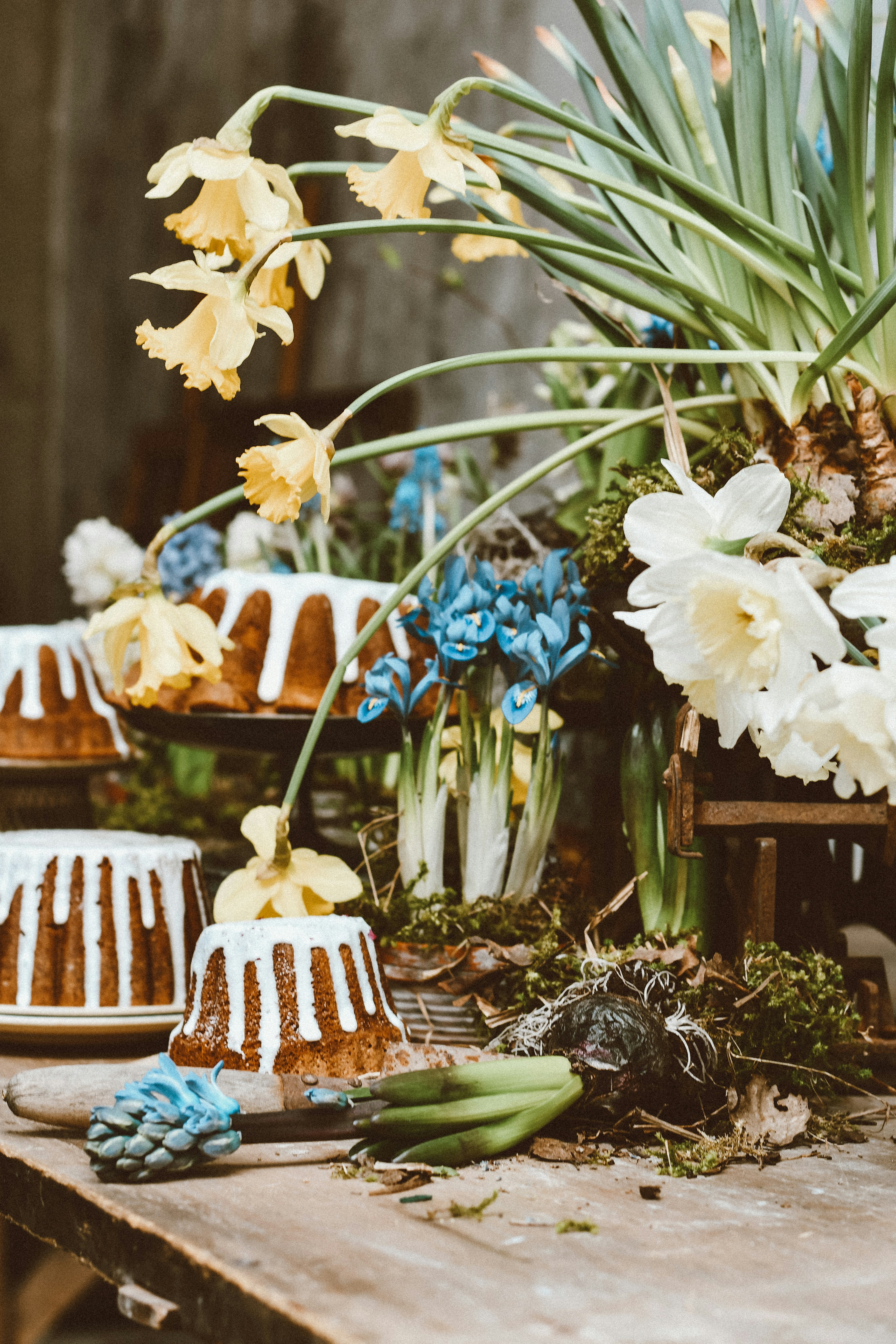 Photo by dinamakhmutova