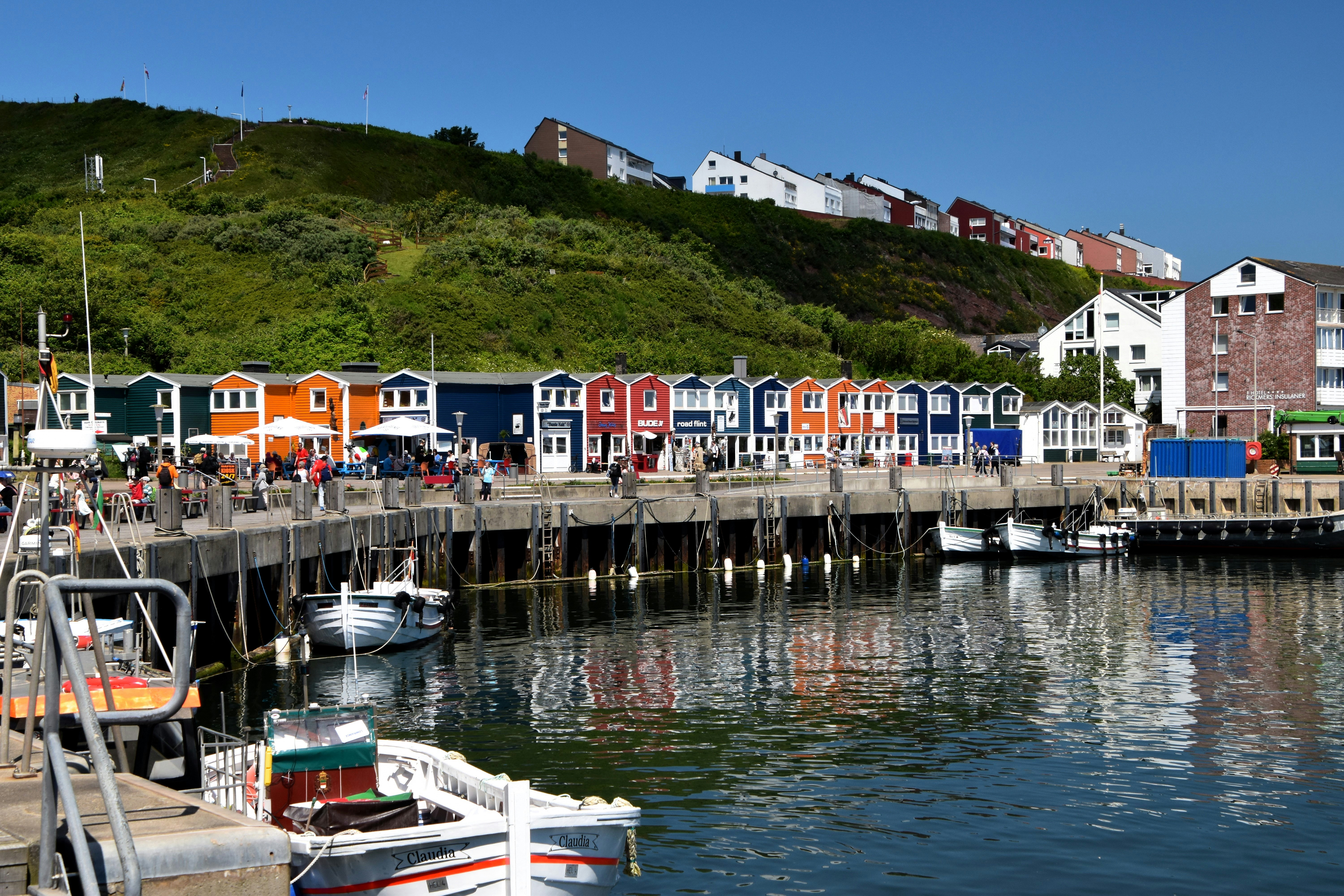A harbor filled with lots of boats next to a hillside