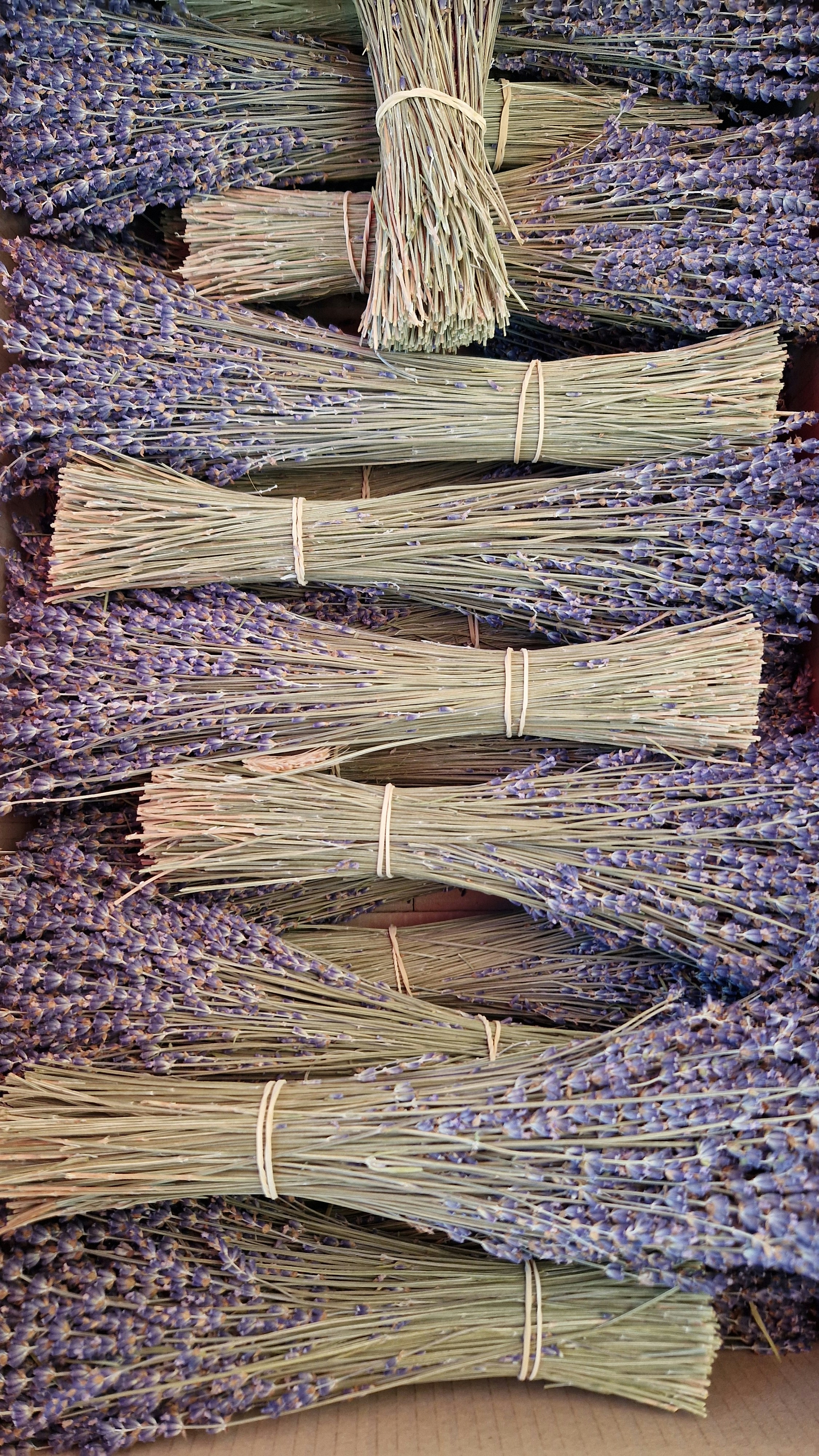 Handcrafted sage and lavender smudge wands tied with natural twine