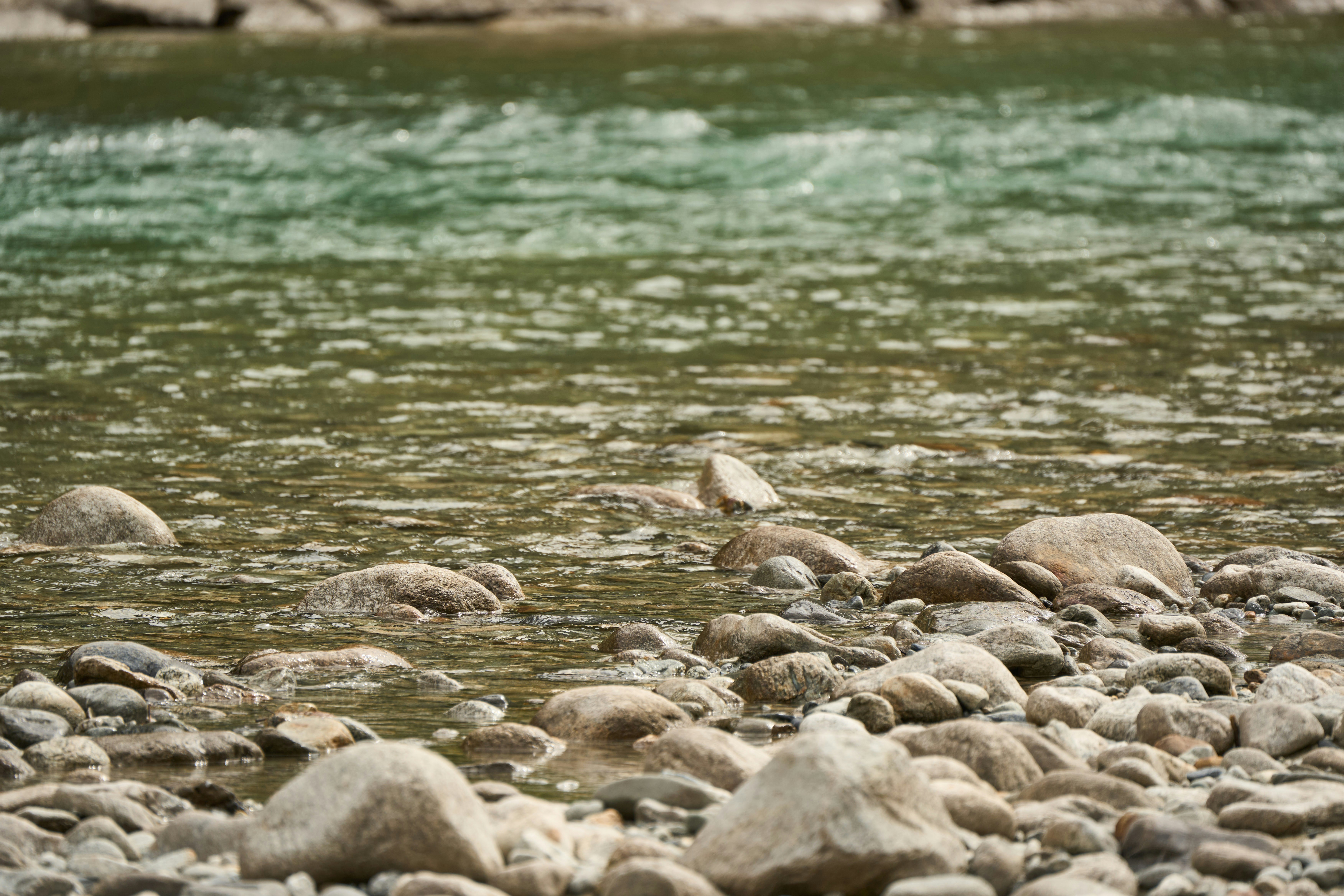 Photo by wolfgang_hasselmann