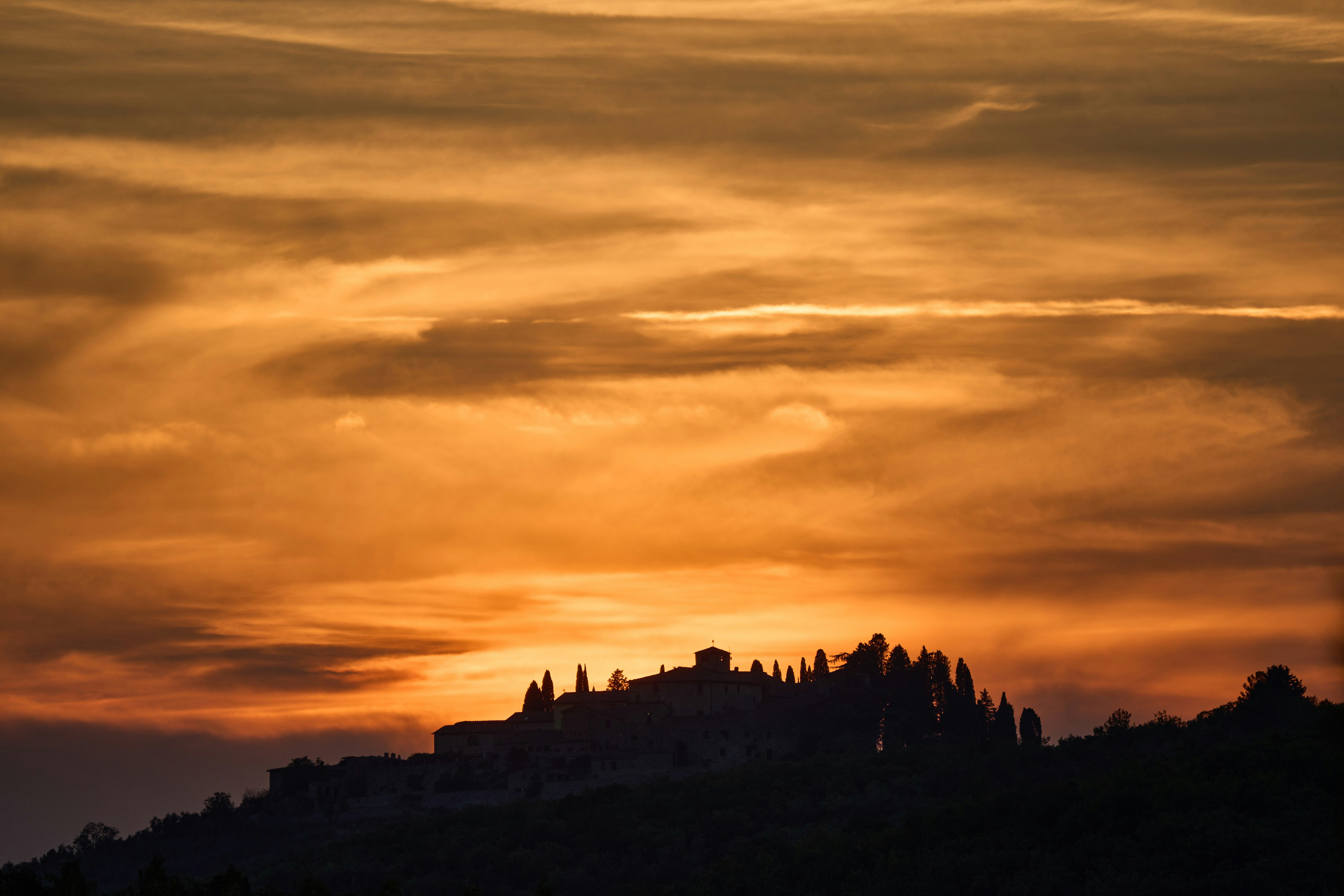 Photo by wolfgang_hasselmann