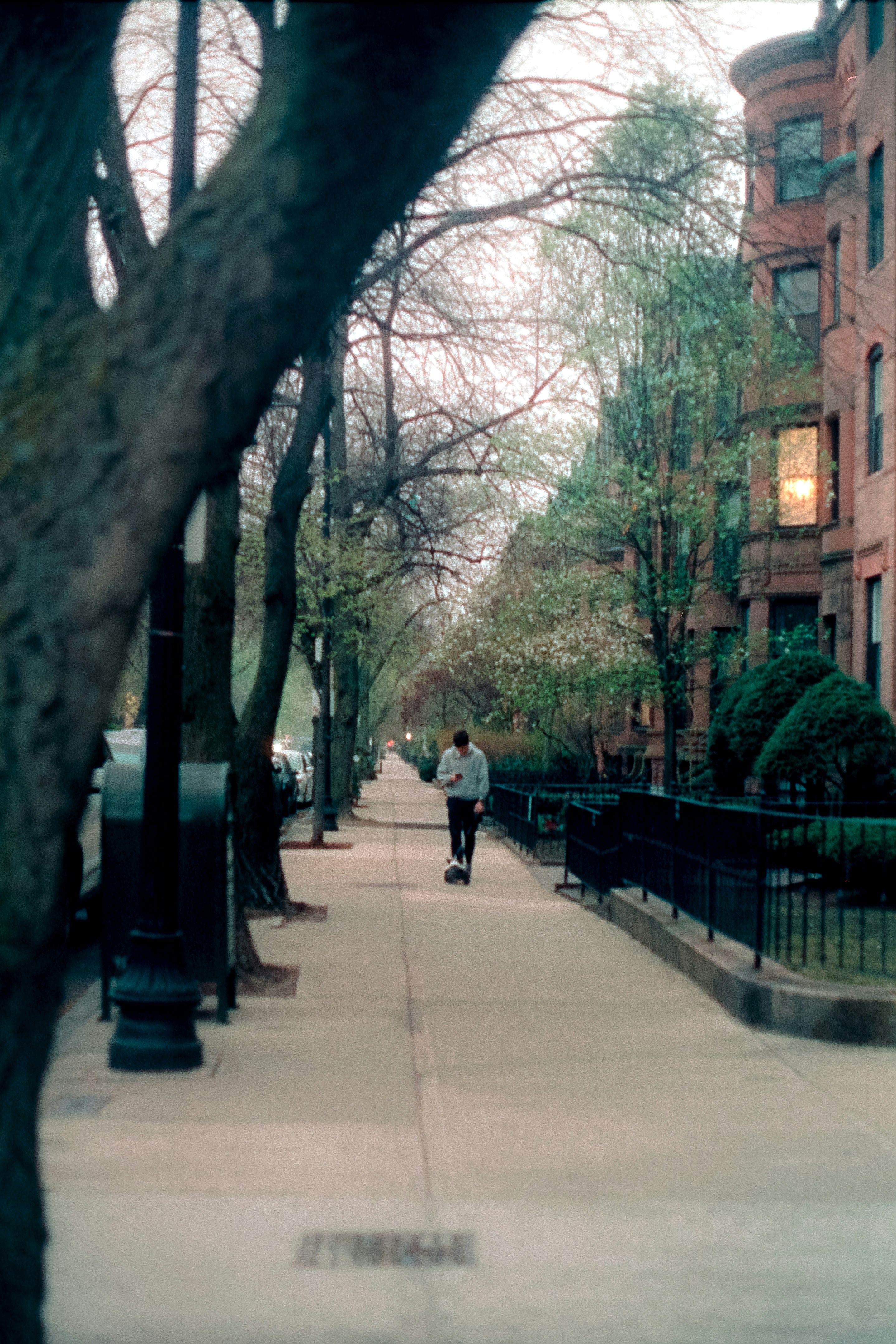 Photo by ivans_in_danger