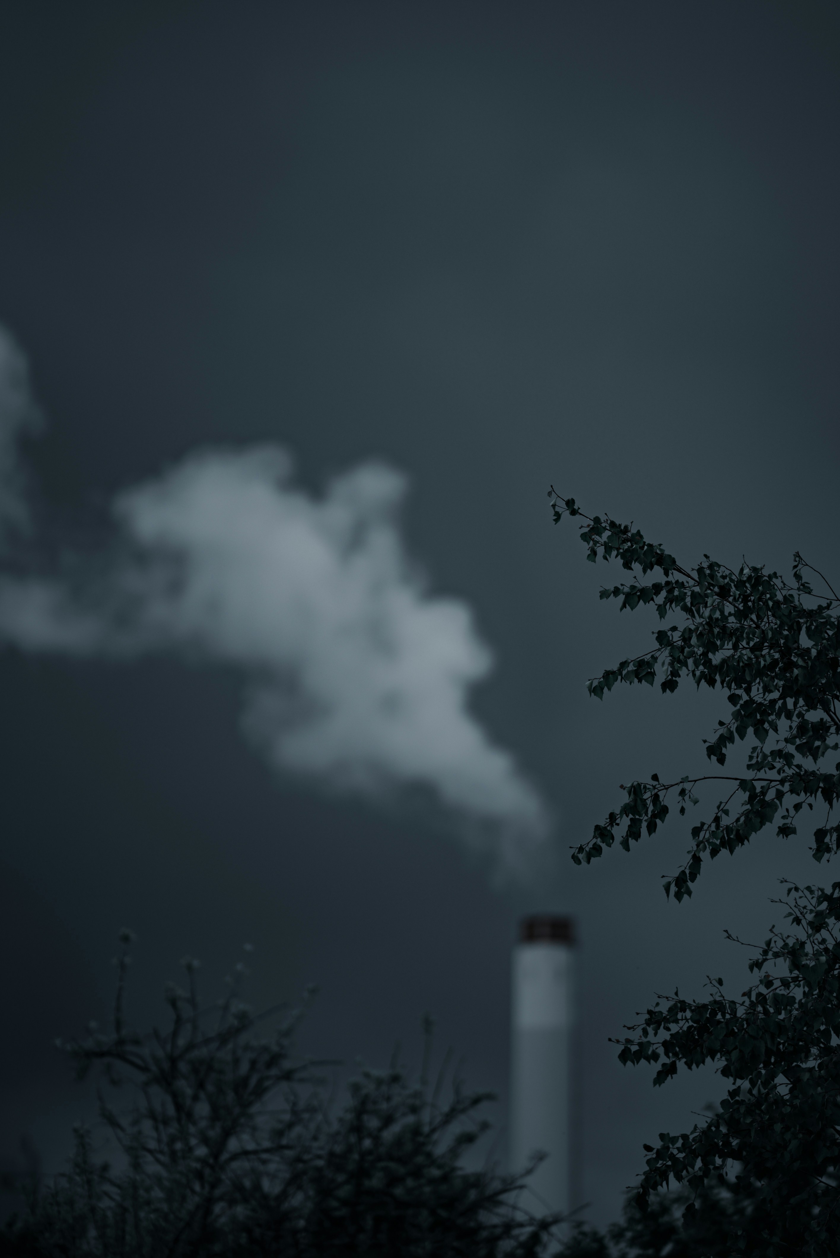 Photo by omarvellous14