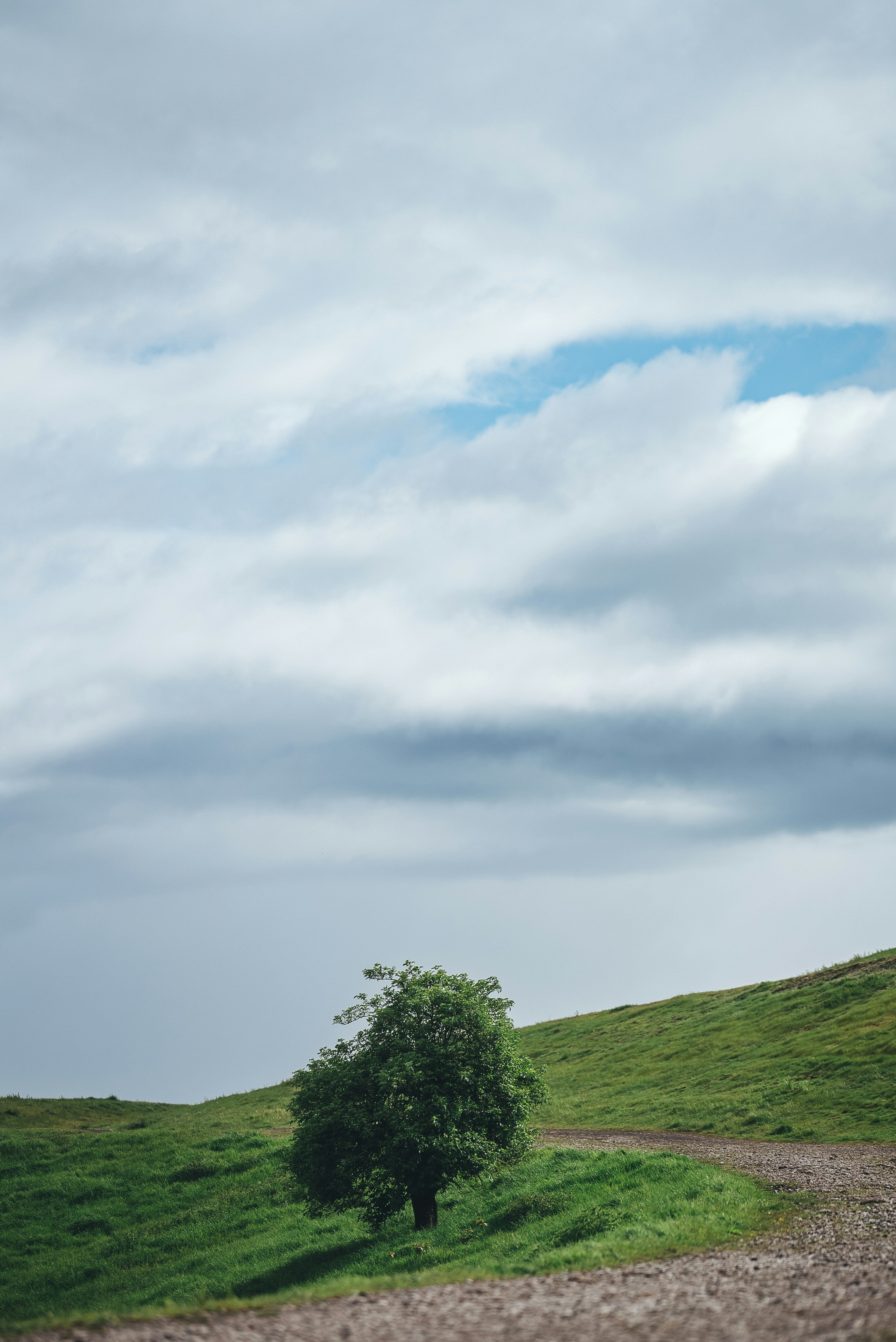 Photo by omarvellous14