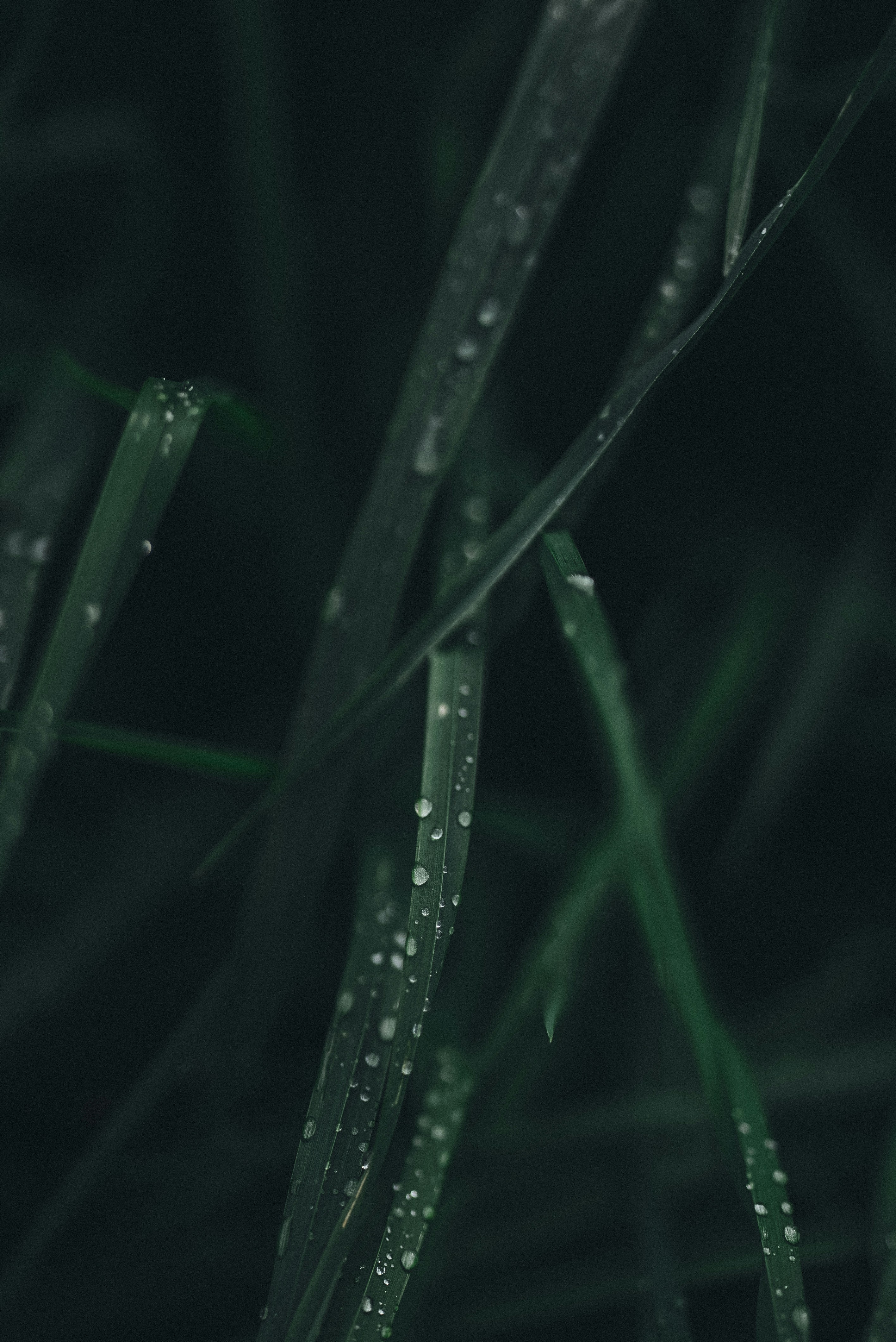 Photo by omarvellous14