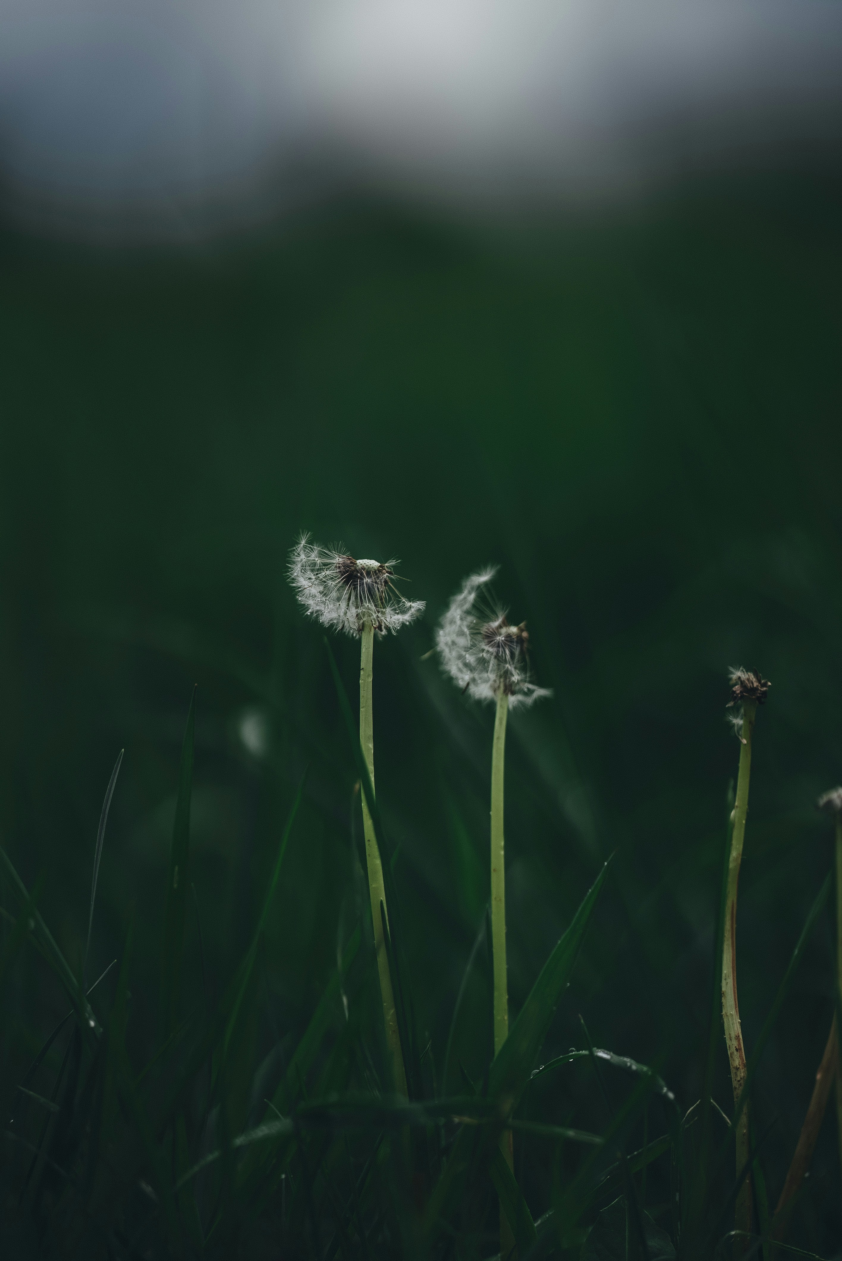 Photo by omarvellous14