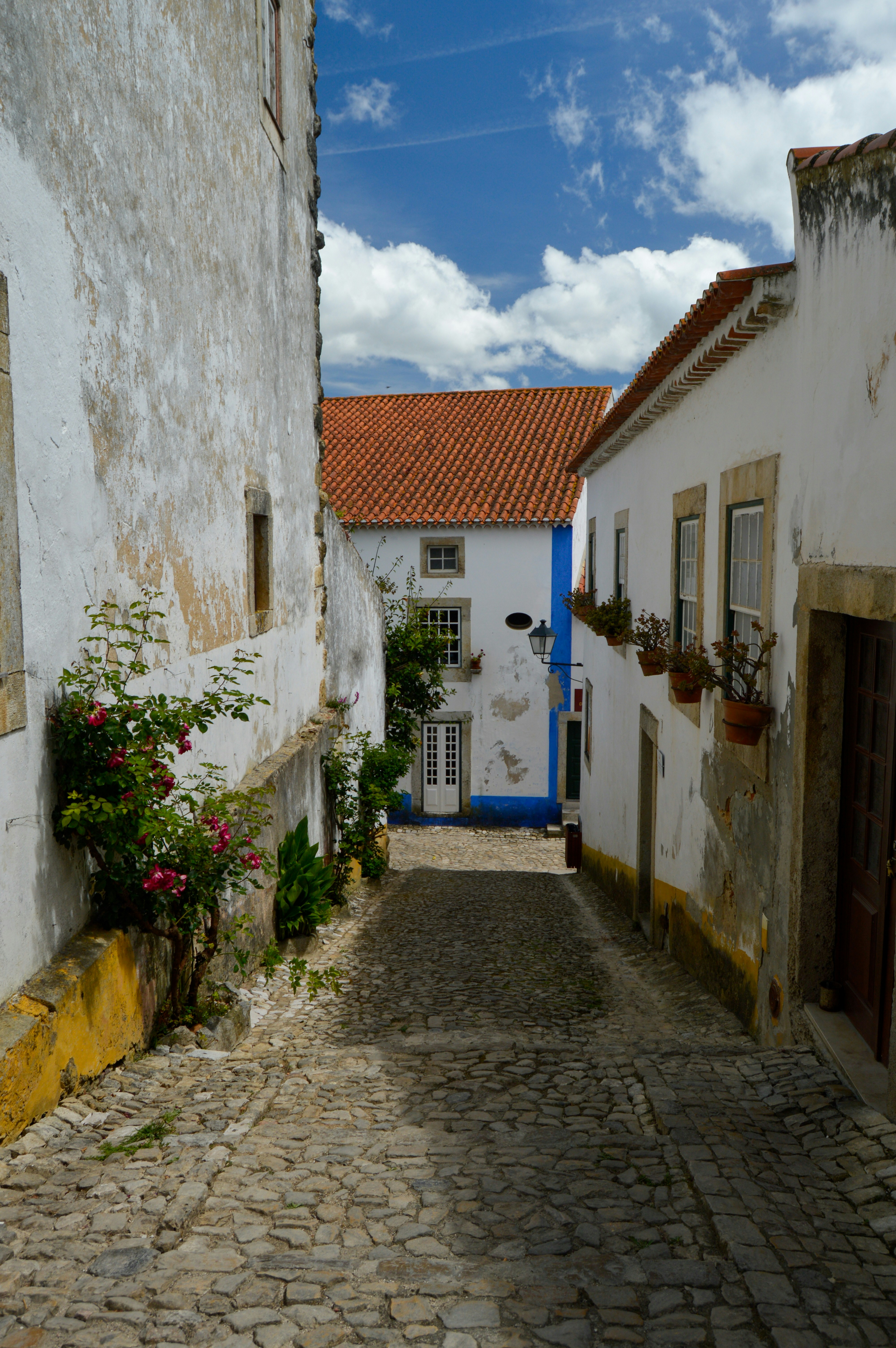 Photo by rmultimedia