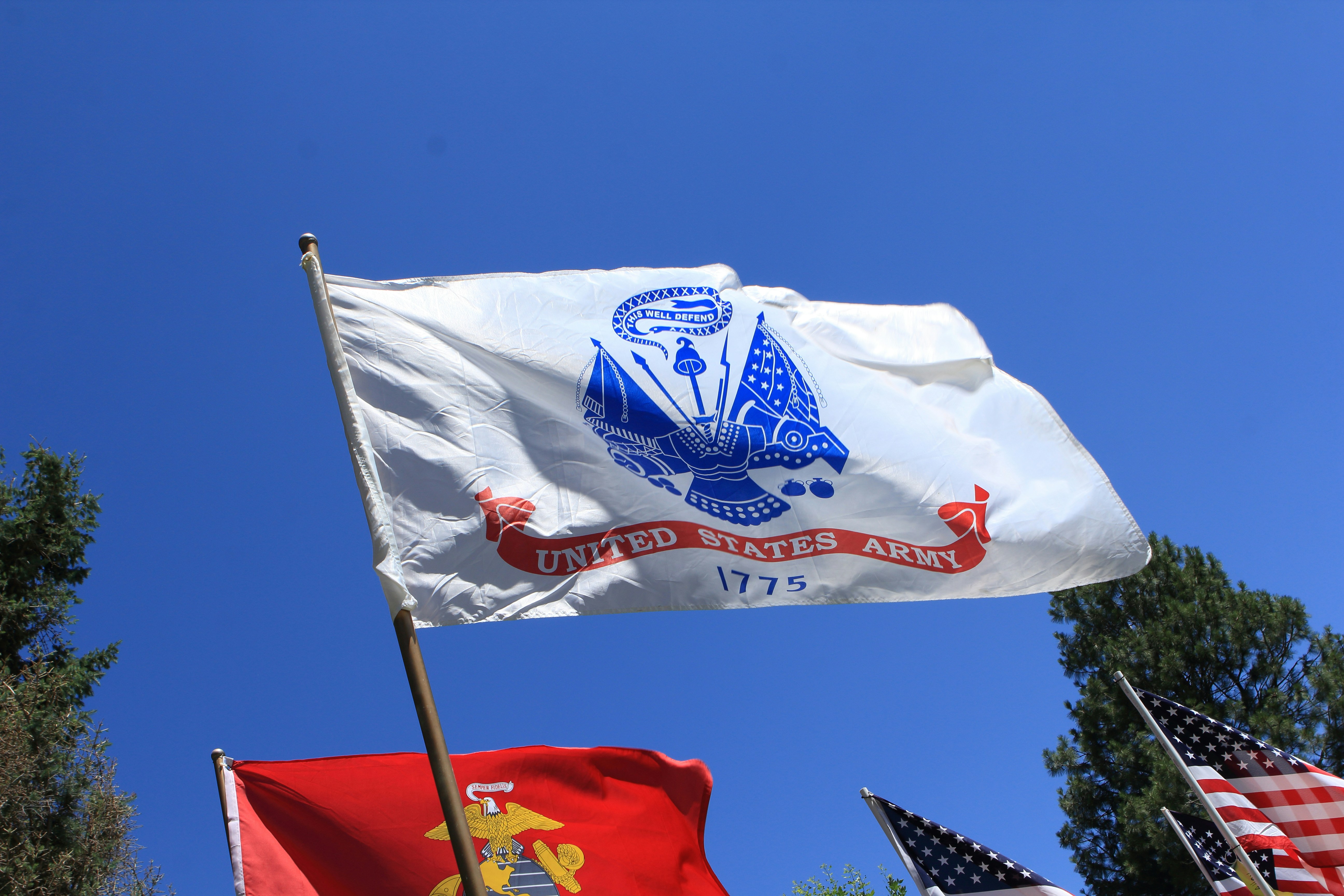 A group of flags flying in the air