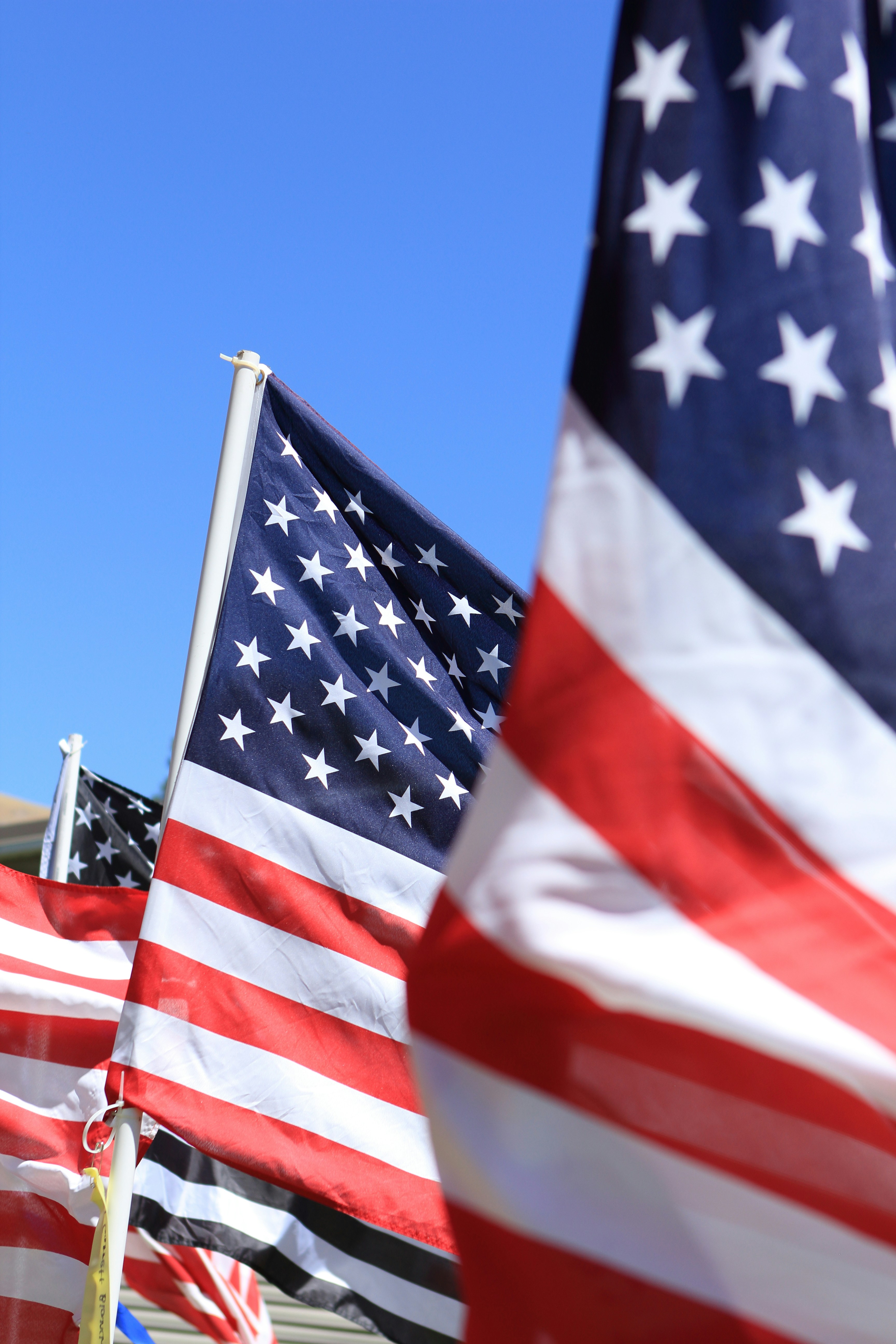 A group of american flags blowing in the wind