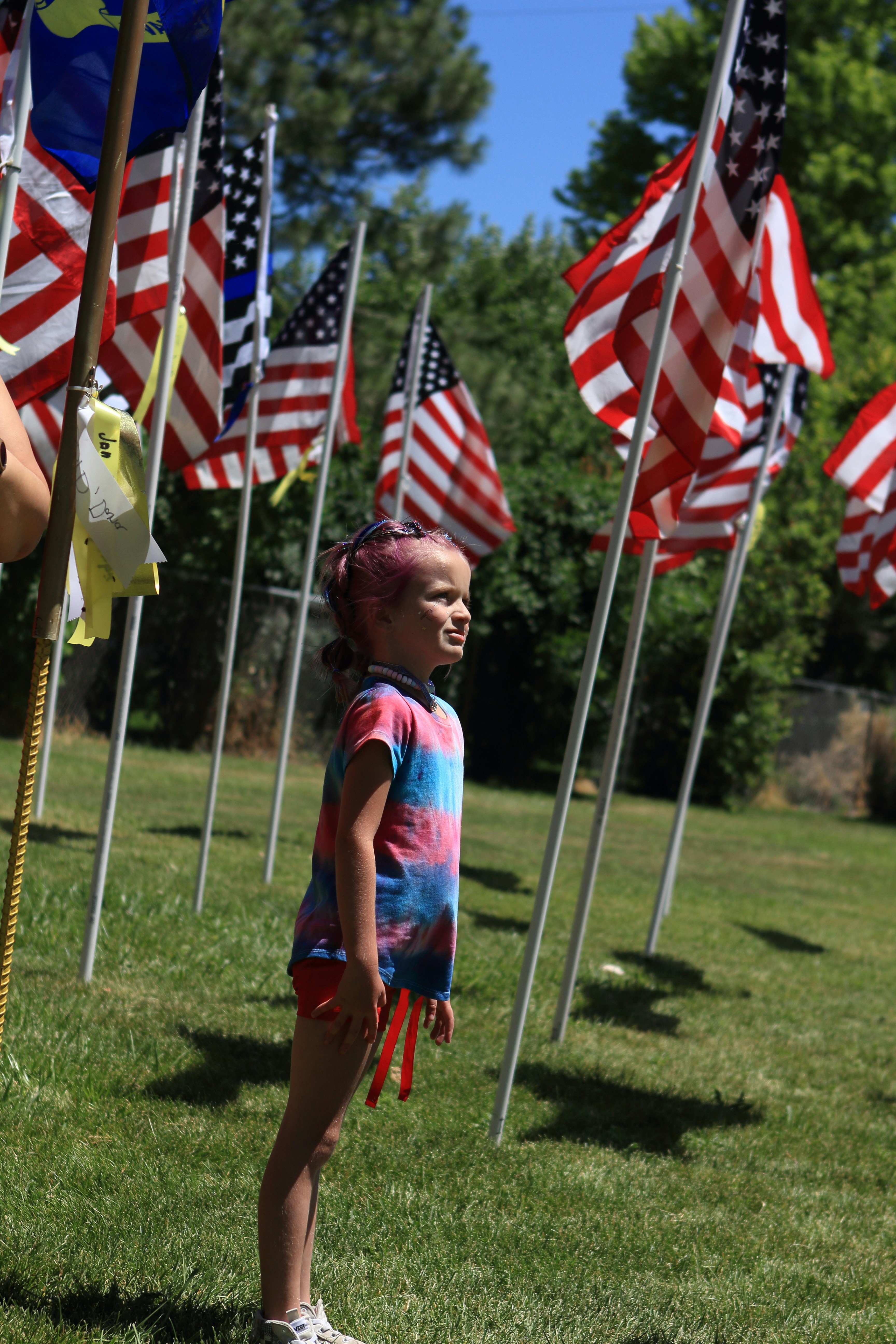 A little girl standing in front of a bunch of american flags