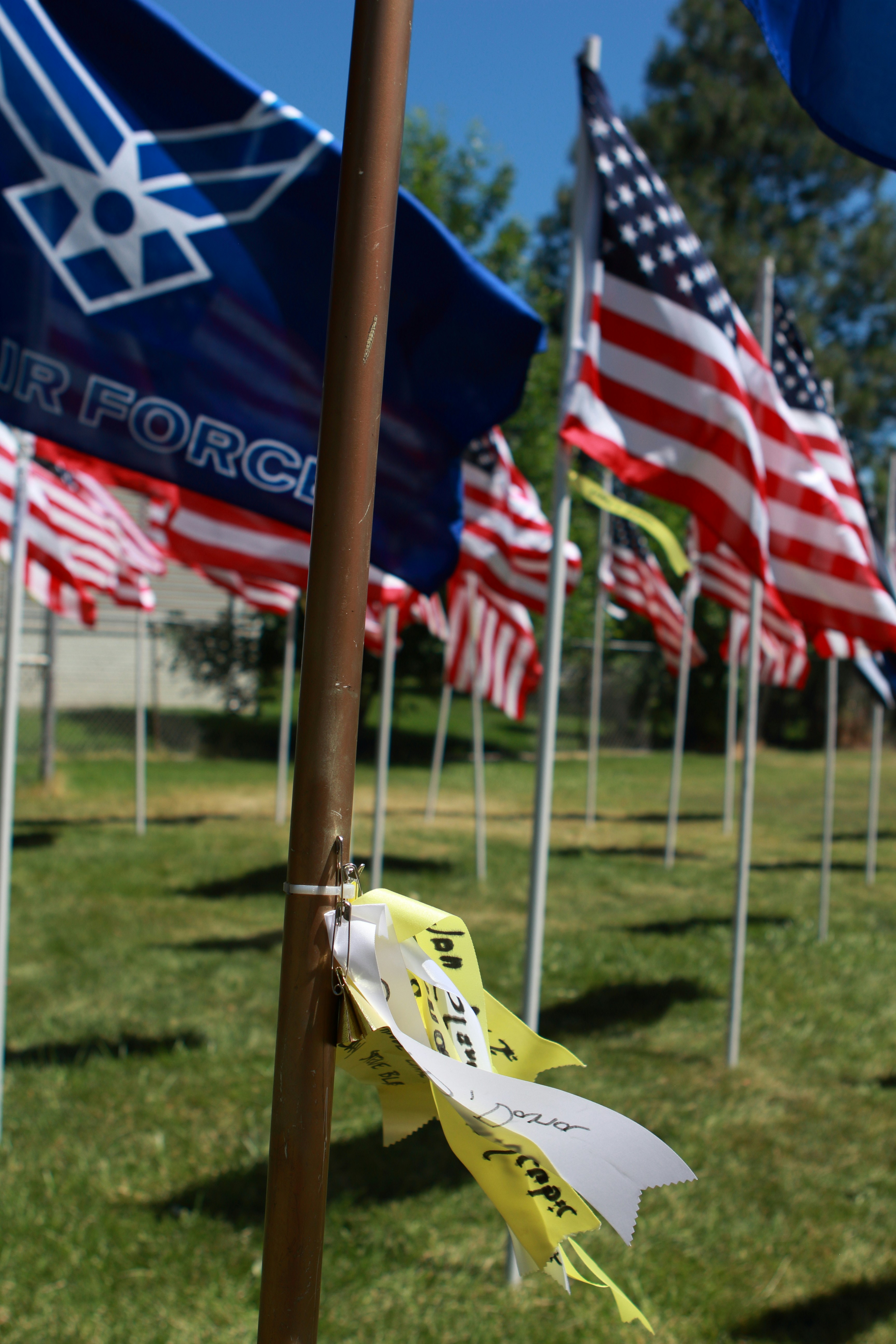 A bunch of flags that are in the grass