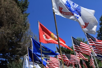A bunch of flags that are flying in the air