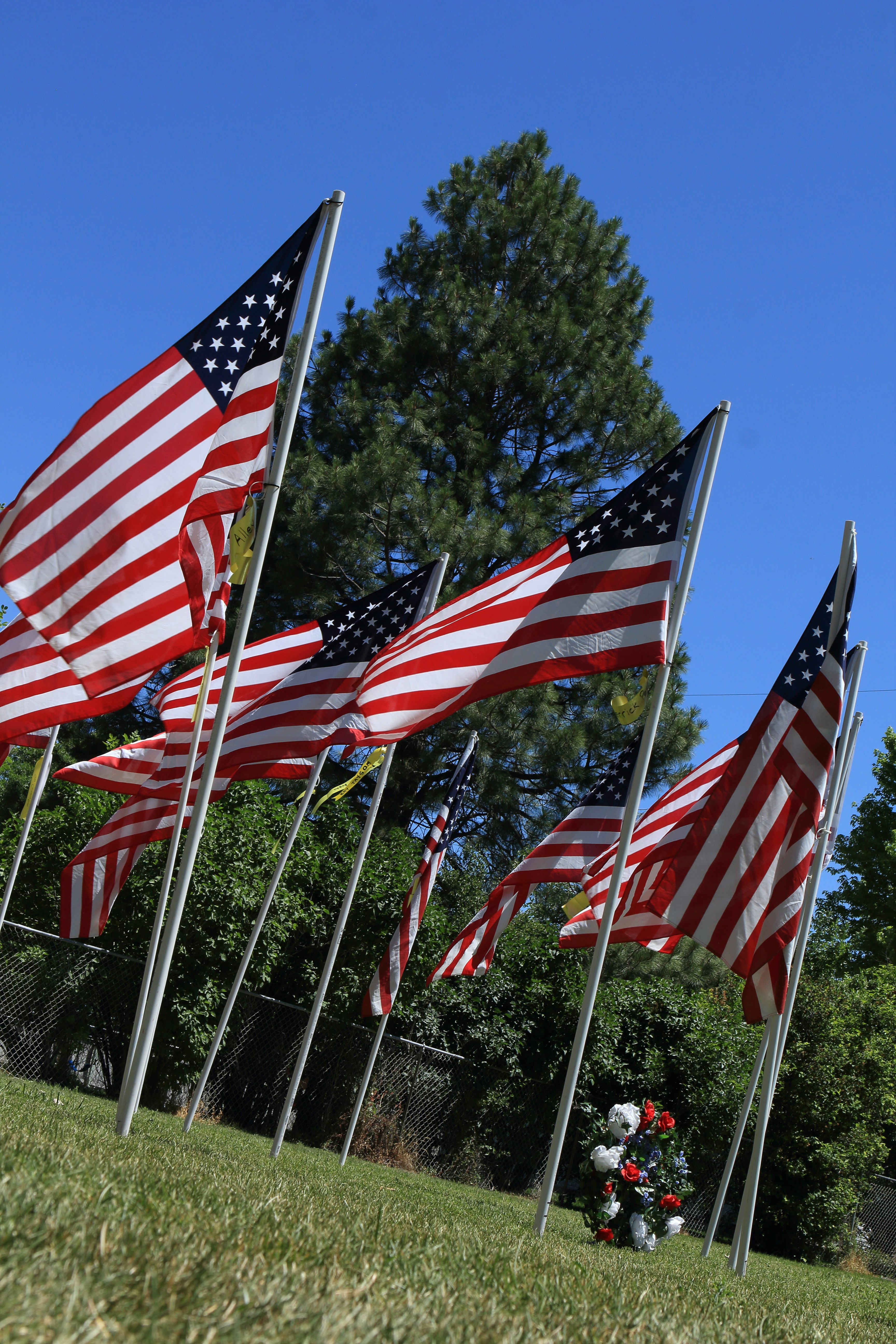 A bunch of american flags blowing in the wind
