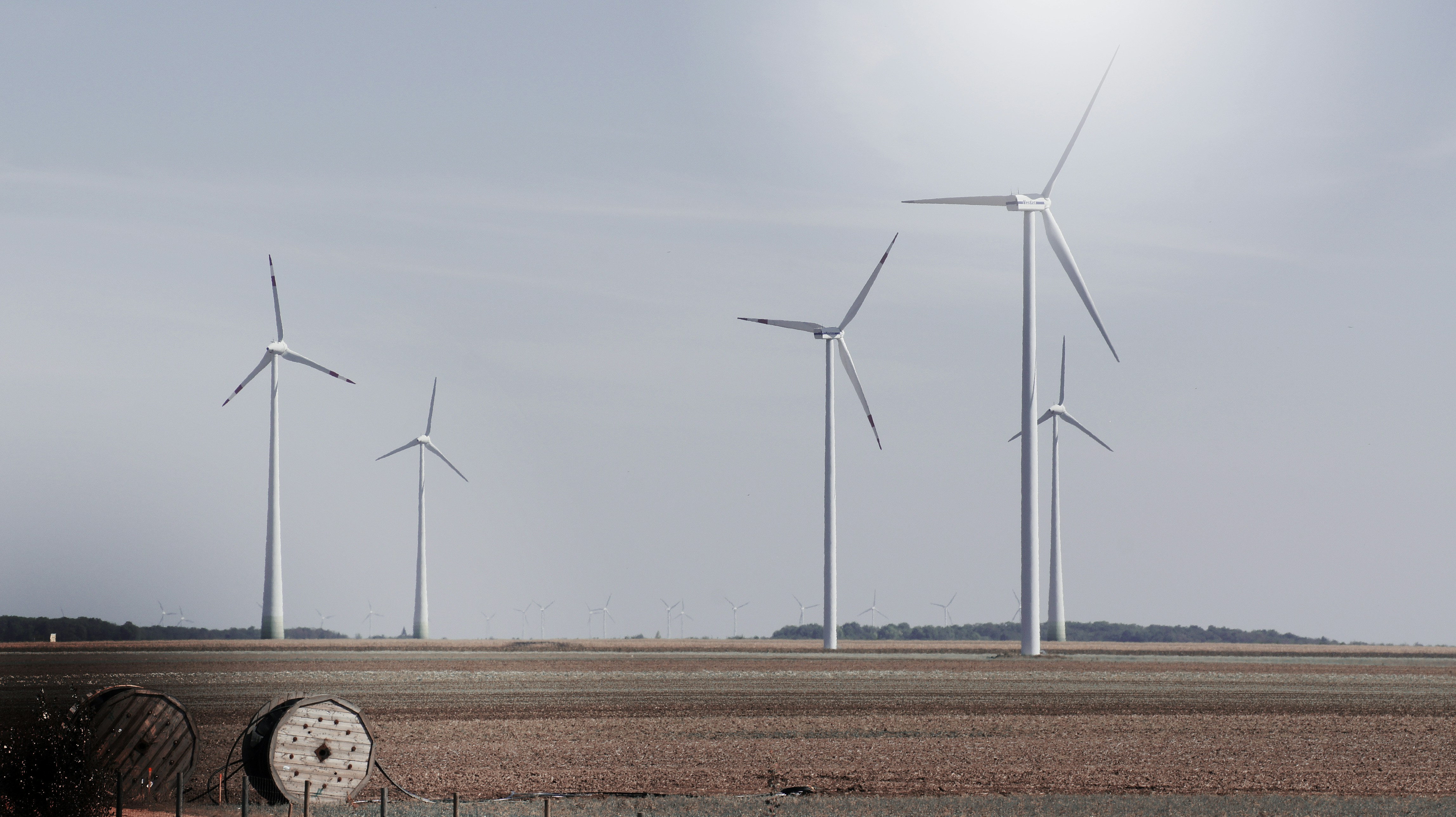 A group of windmills in a field near a body of water
