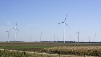 A row of wind turbines in a field