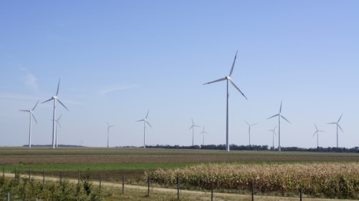 A row of wind turbines in a field