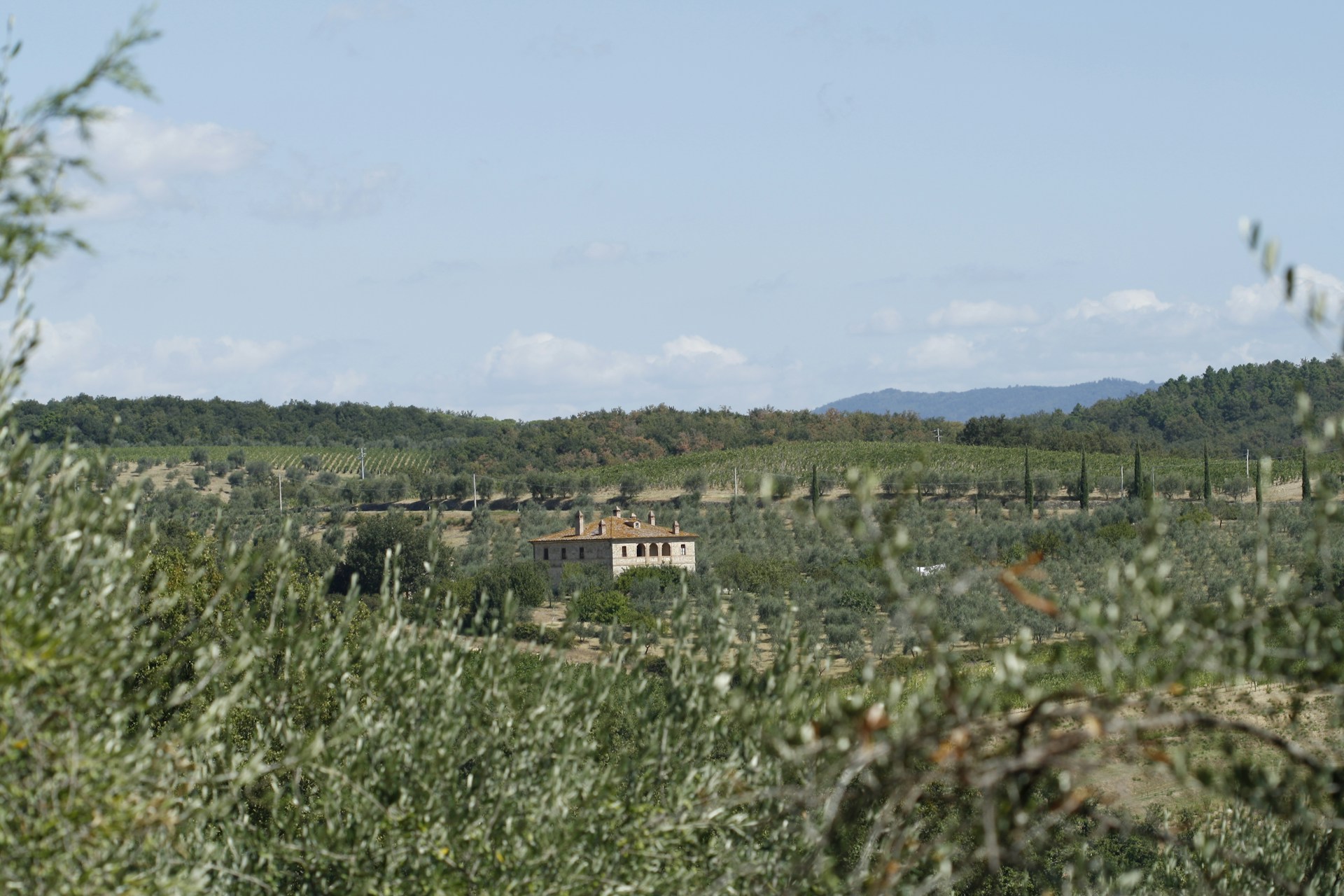 A view of a countryside with a house in the distance