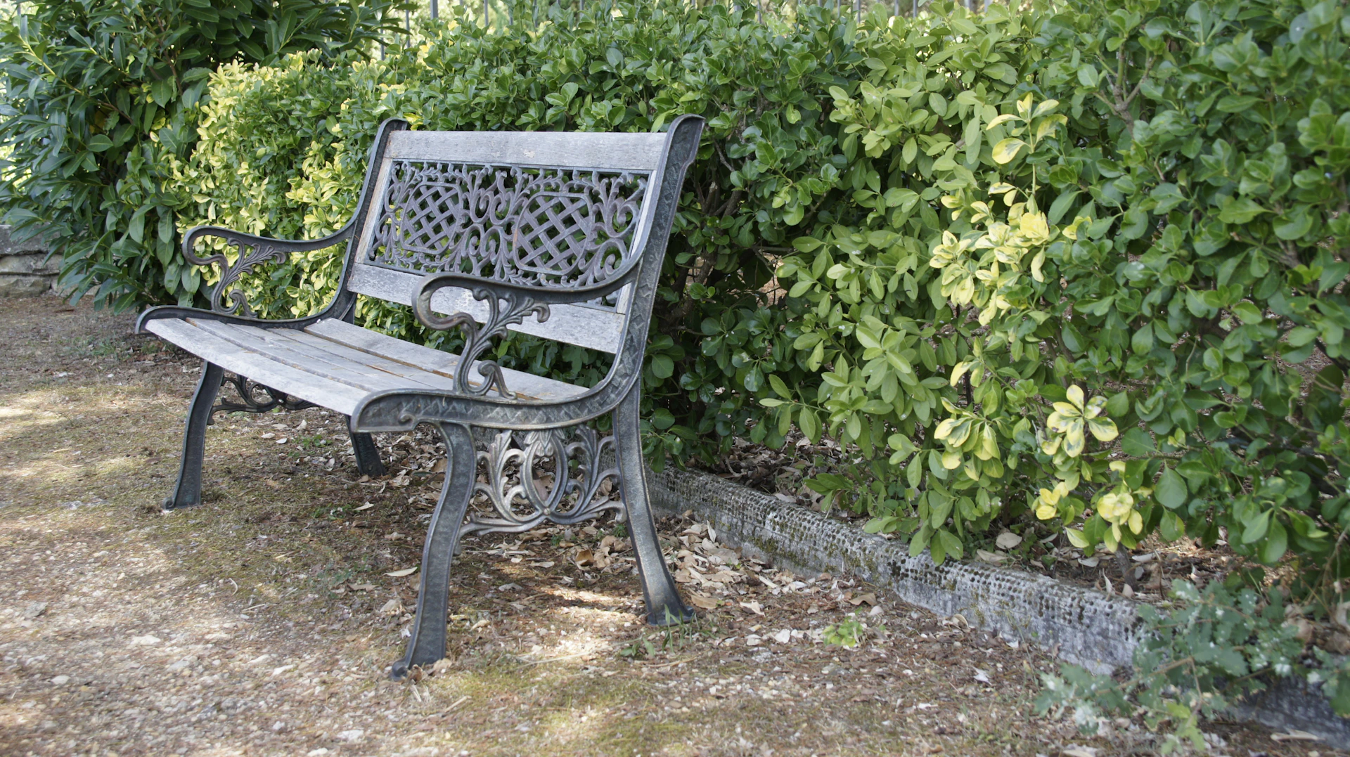 A park bench sitting next to a hedge