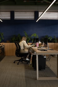 A woman sitting at a desk in an office