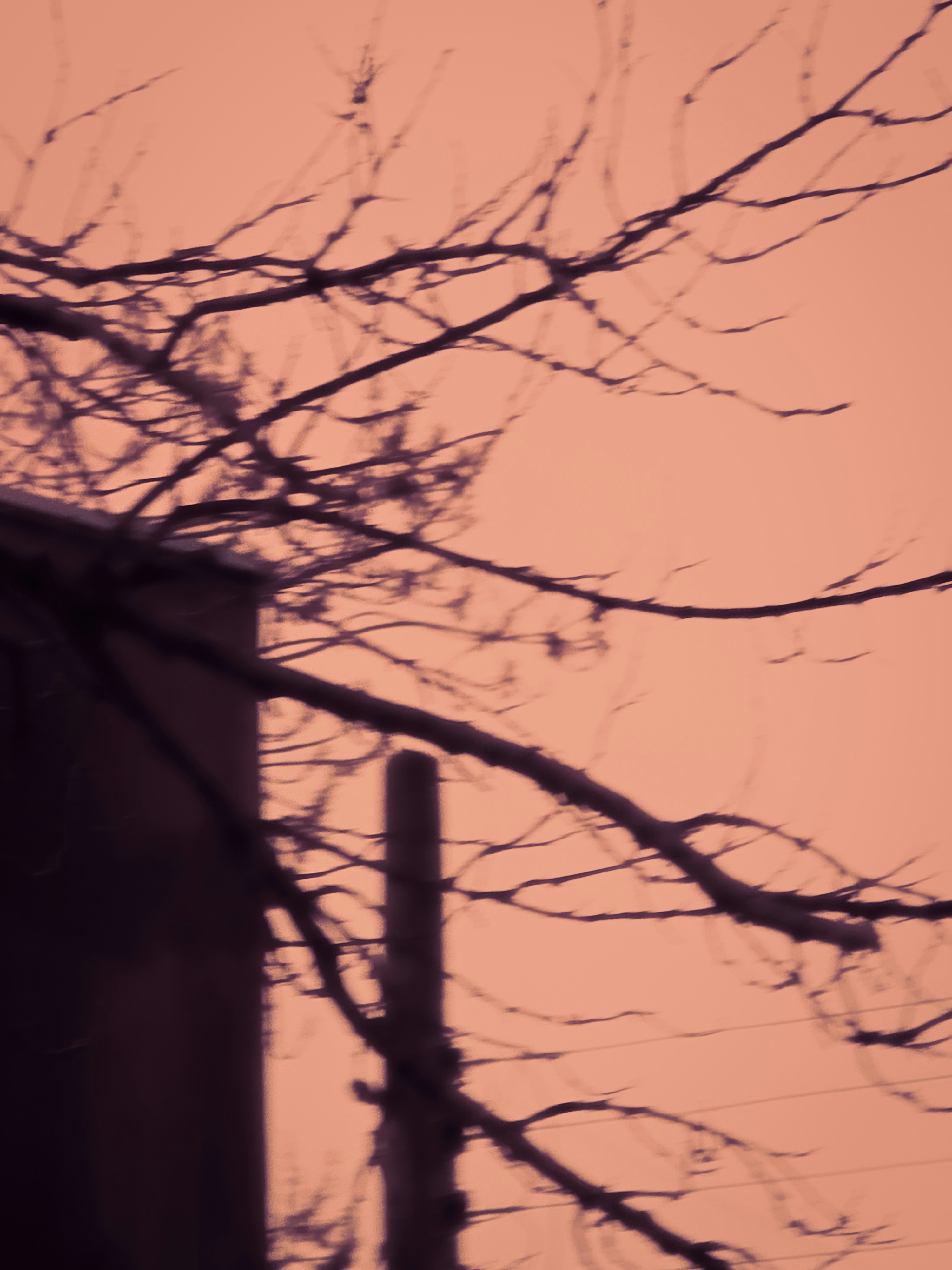 Photo by nickschneider