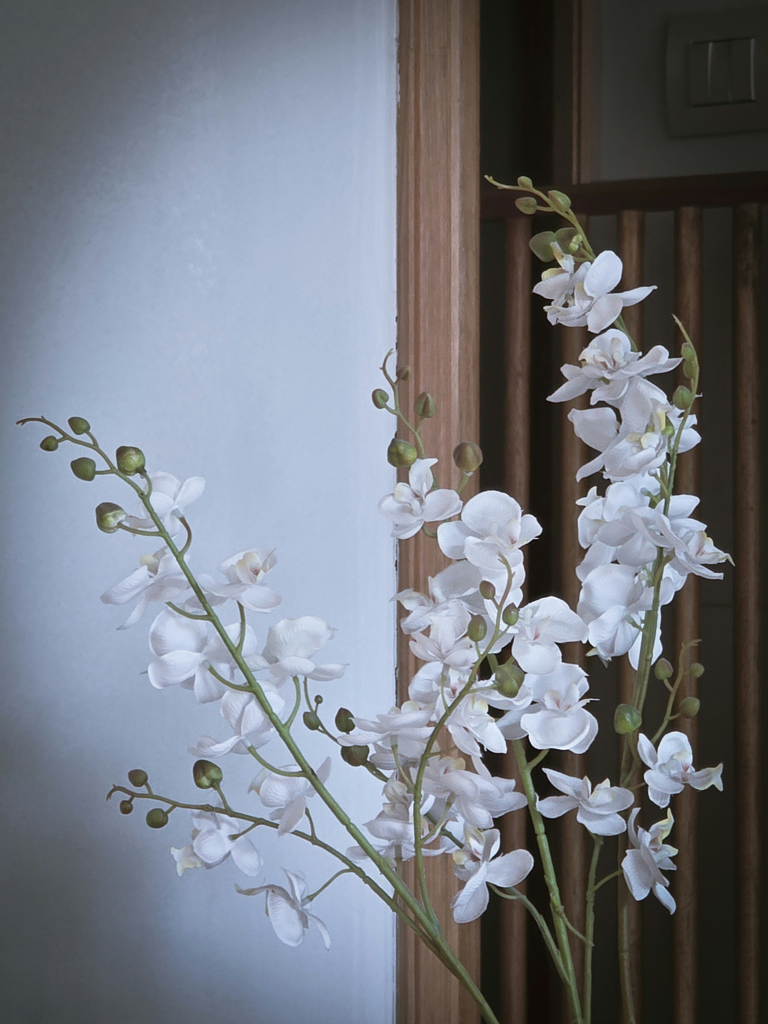 Photo by nickschneider