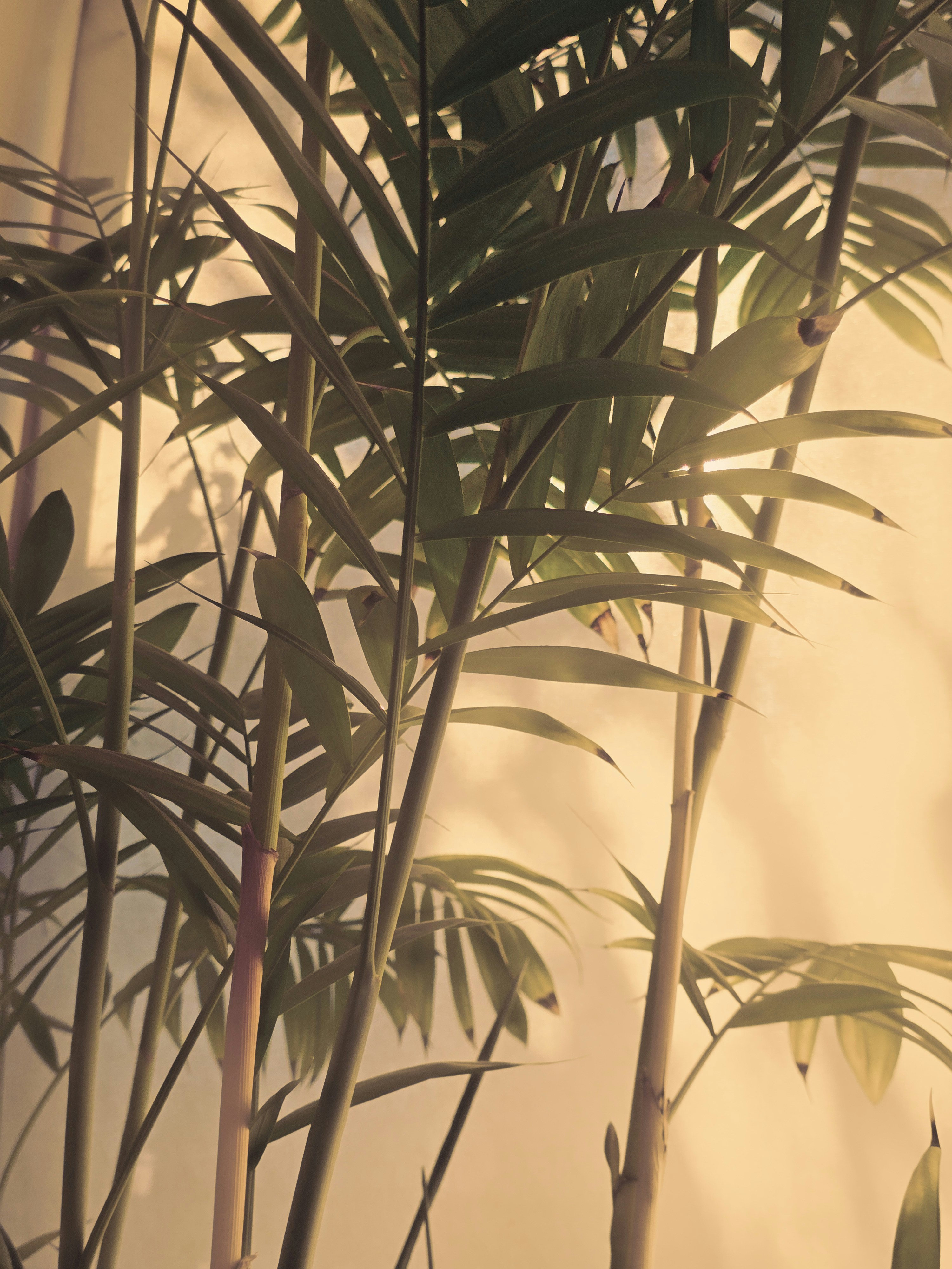 Photo by nickschneider