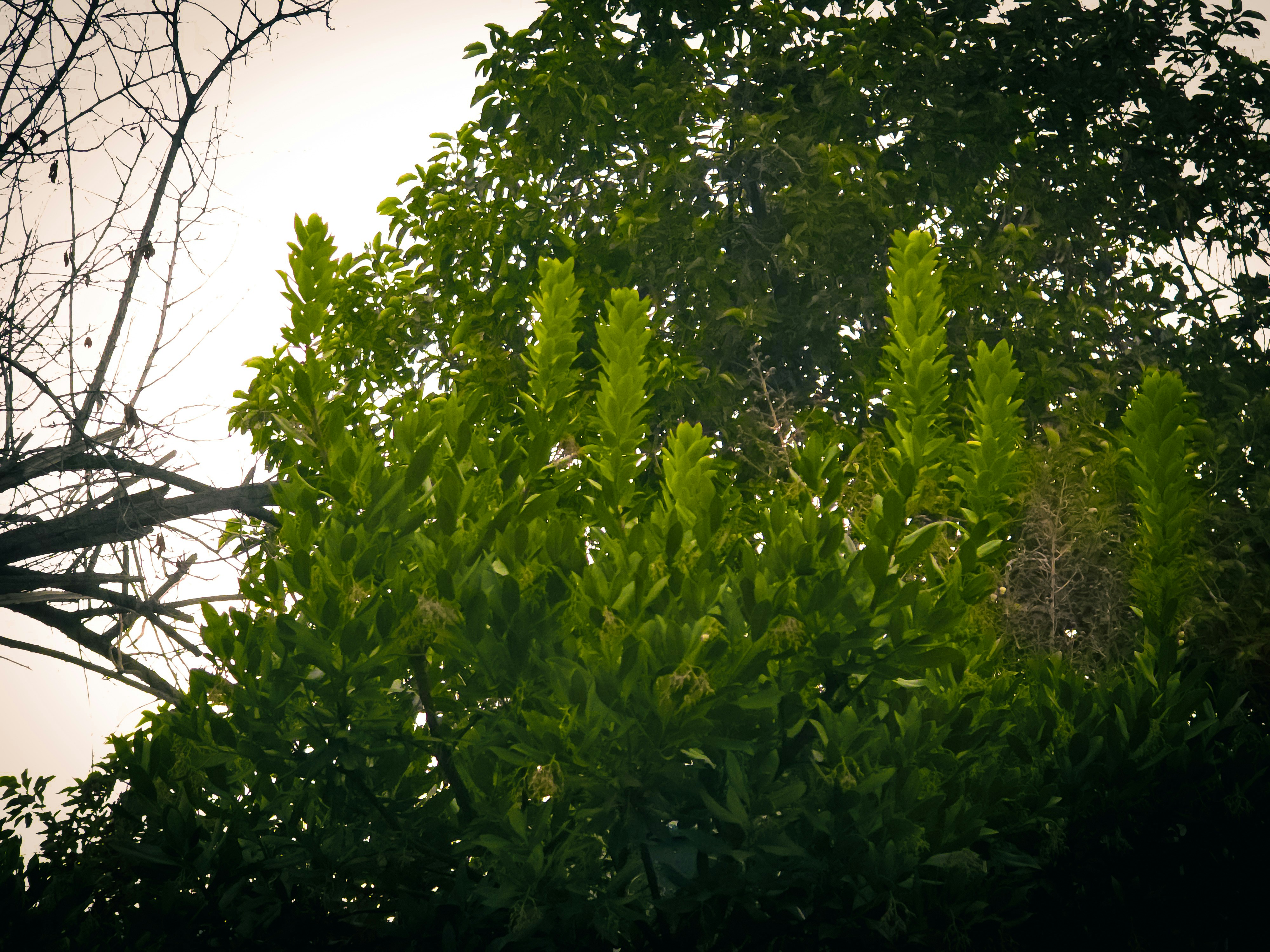 Photo by nickschneider