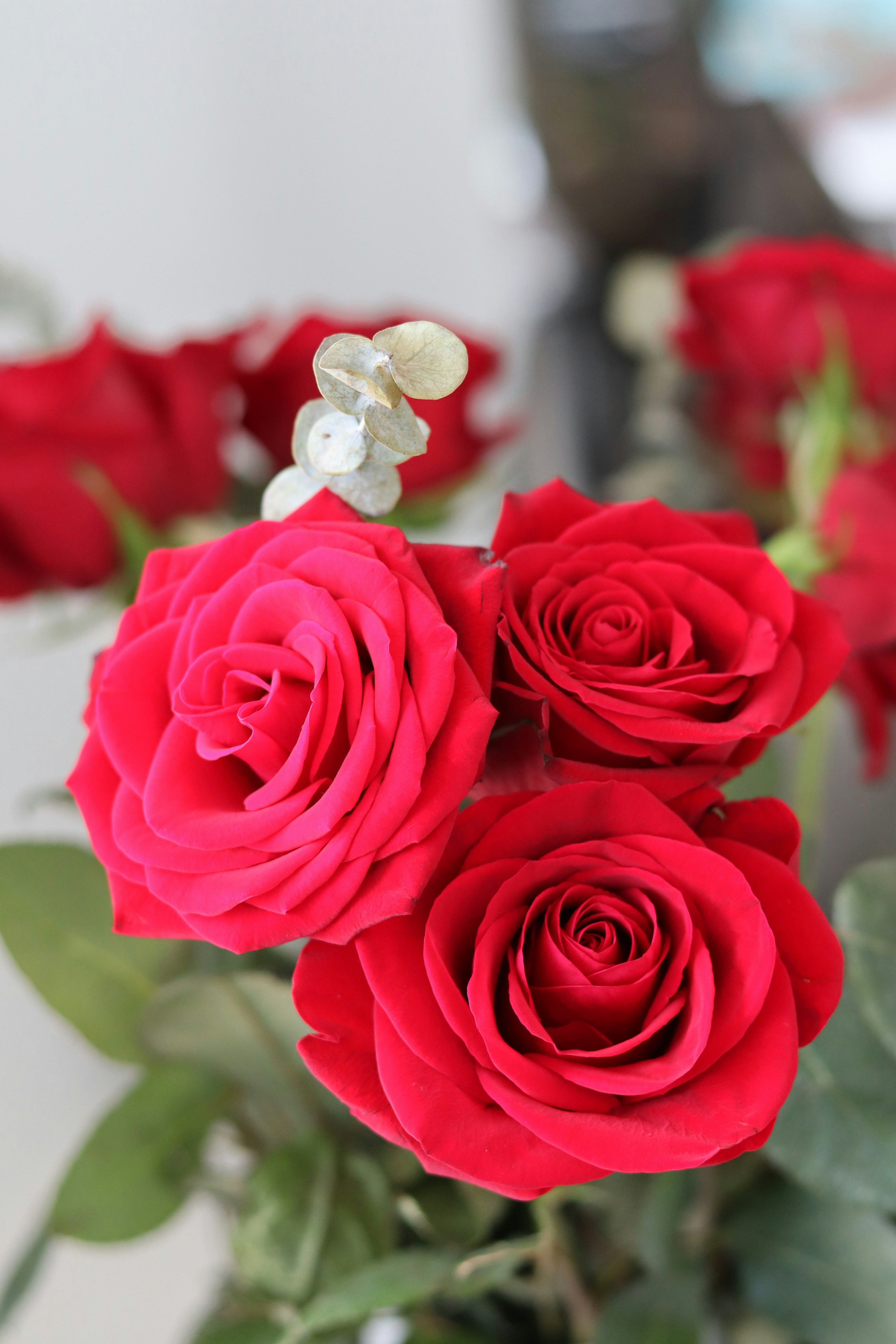 Photo by jdphotography