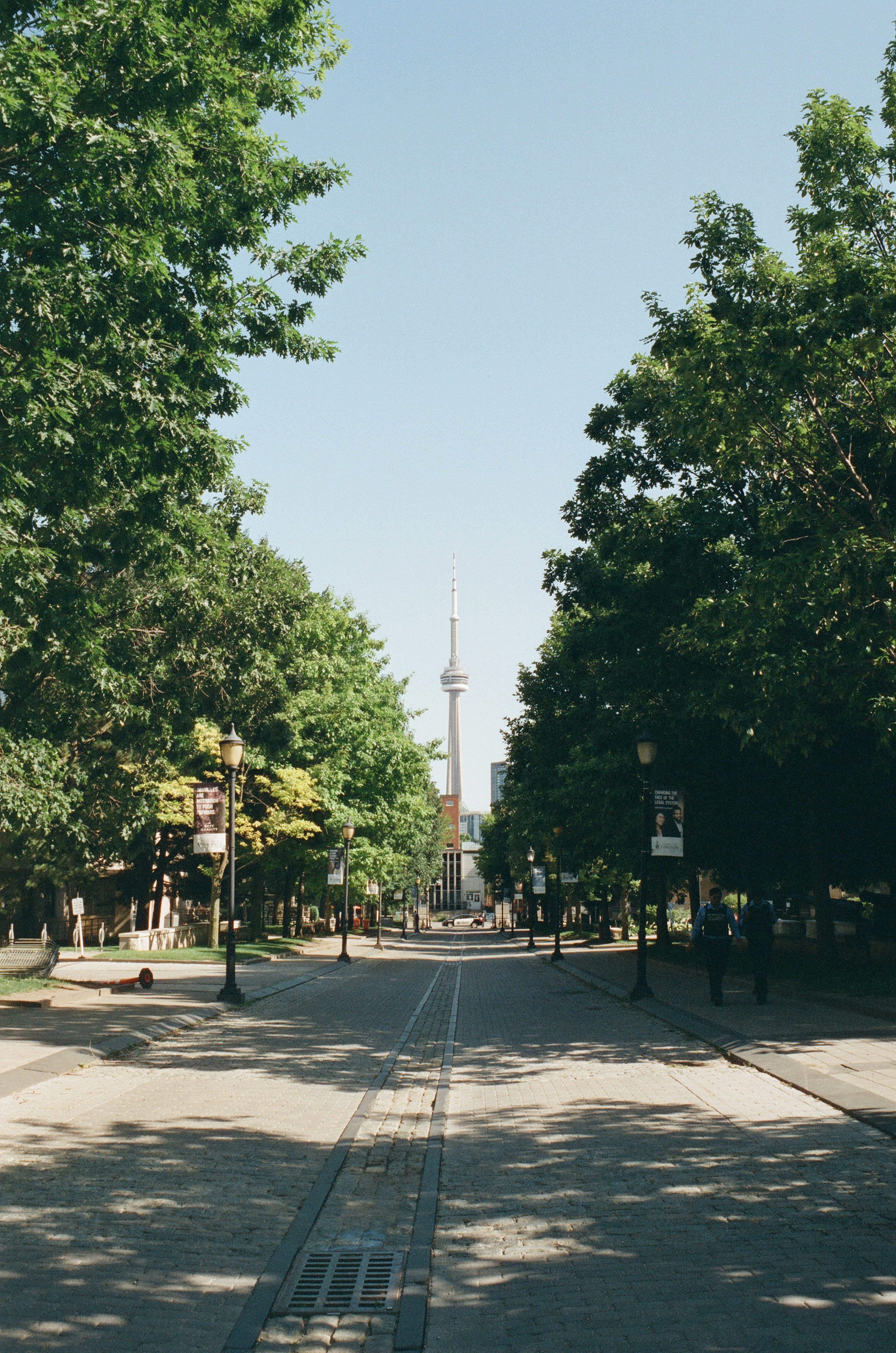 Une allée arborée du campus de l’Université de Toronto, avec la tour CN au loin
