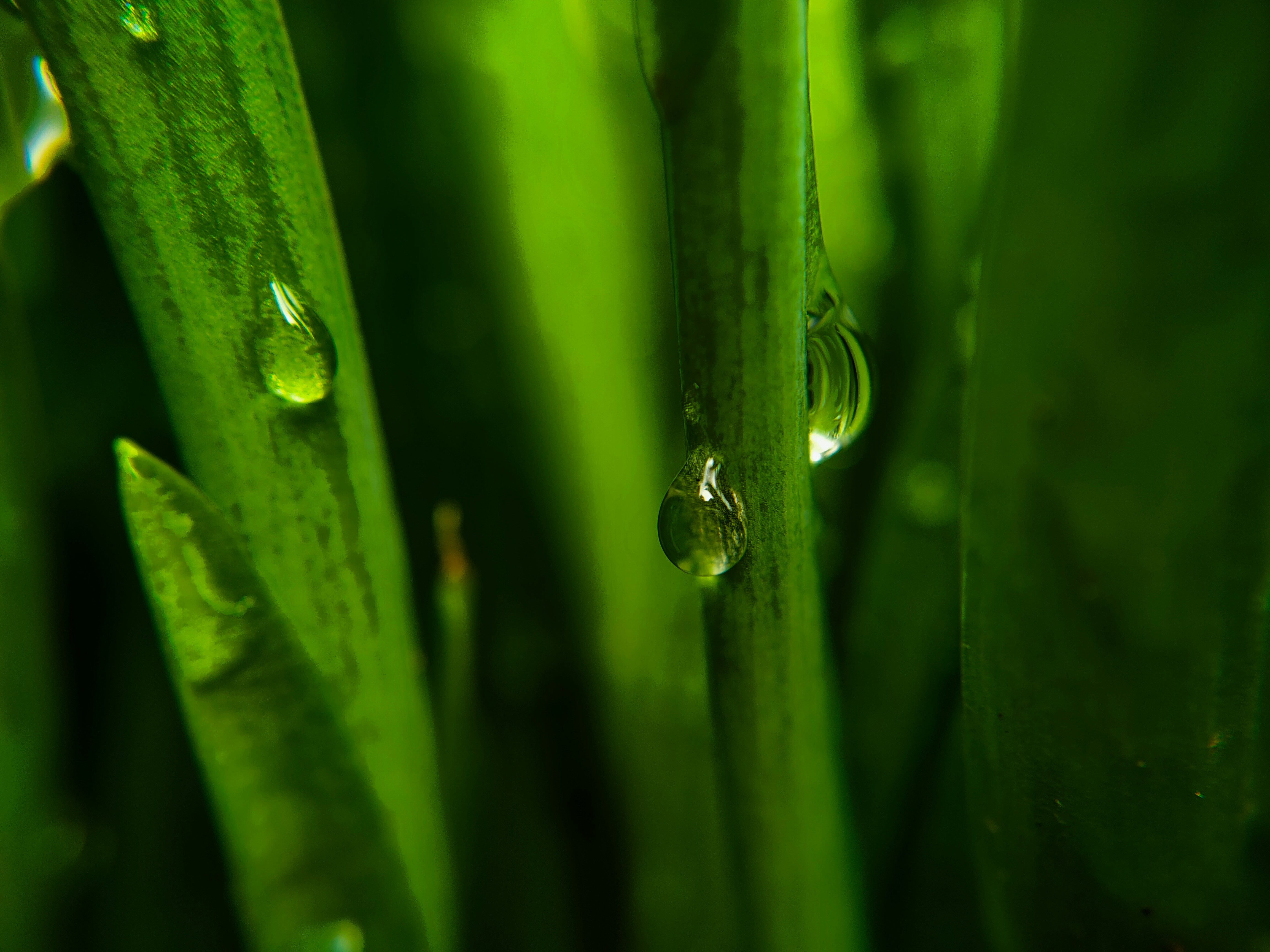 Photo by sujaypaulsp