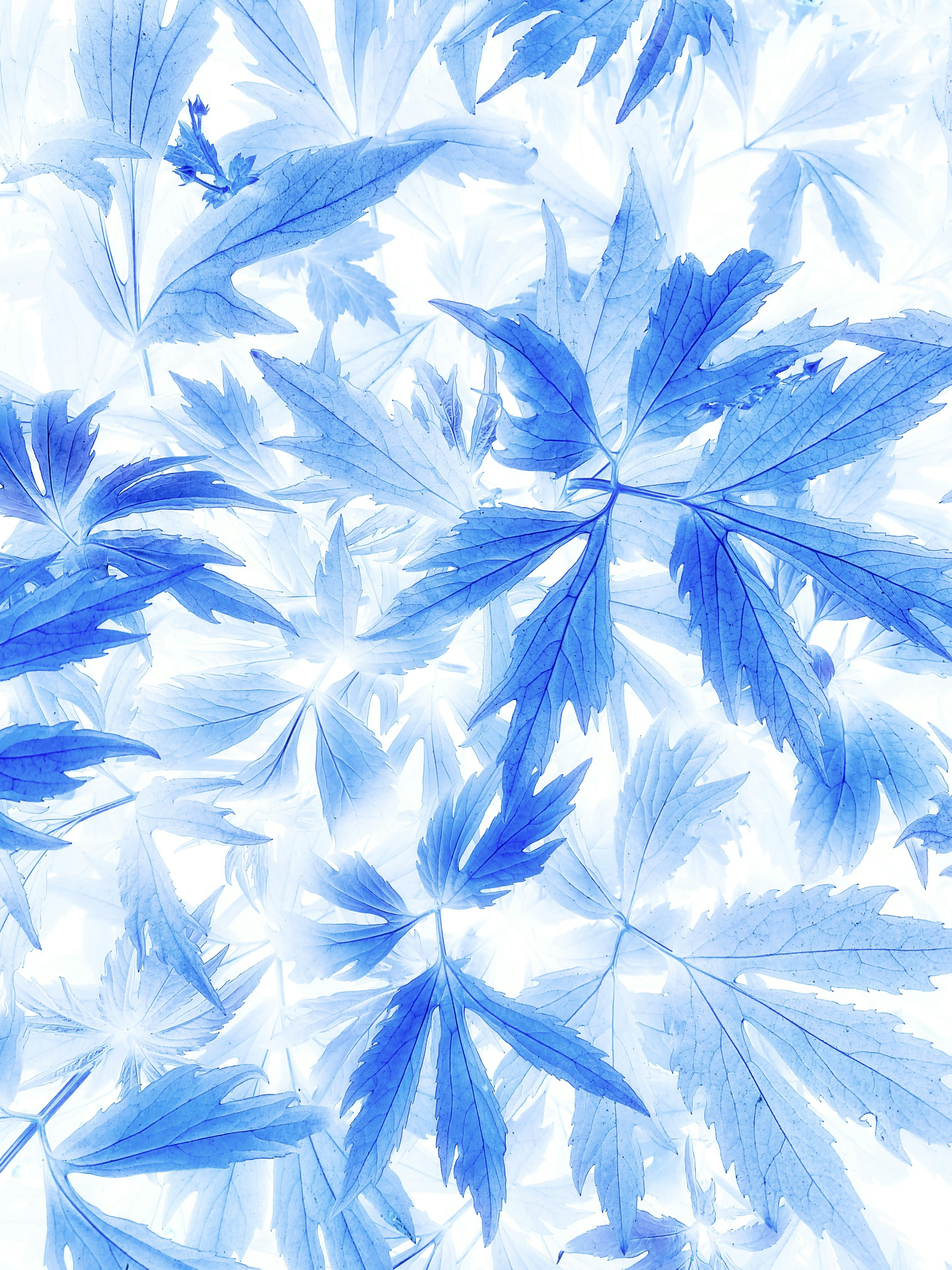 Photo by eugene_golovesov