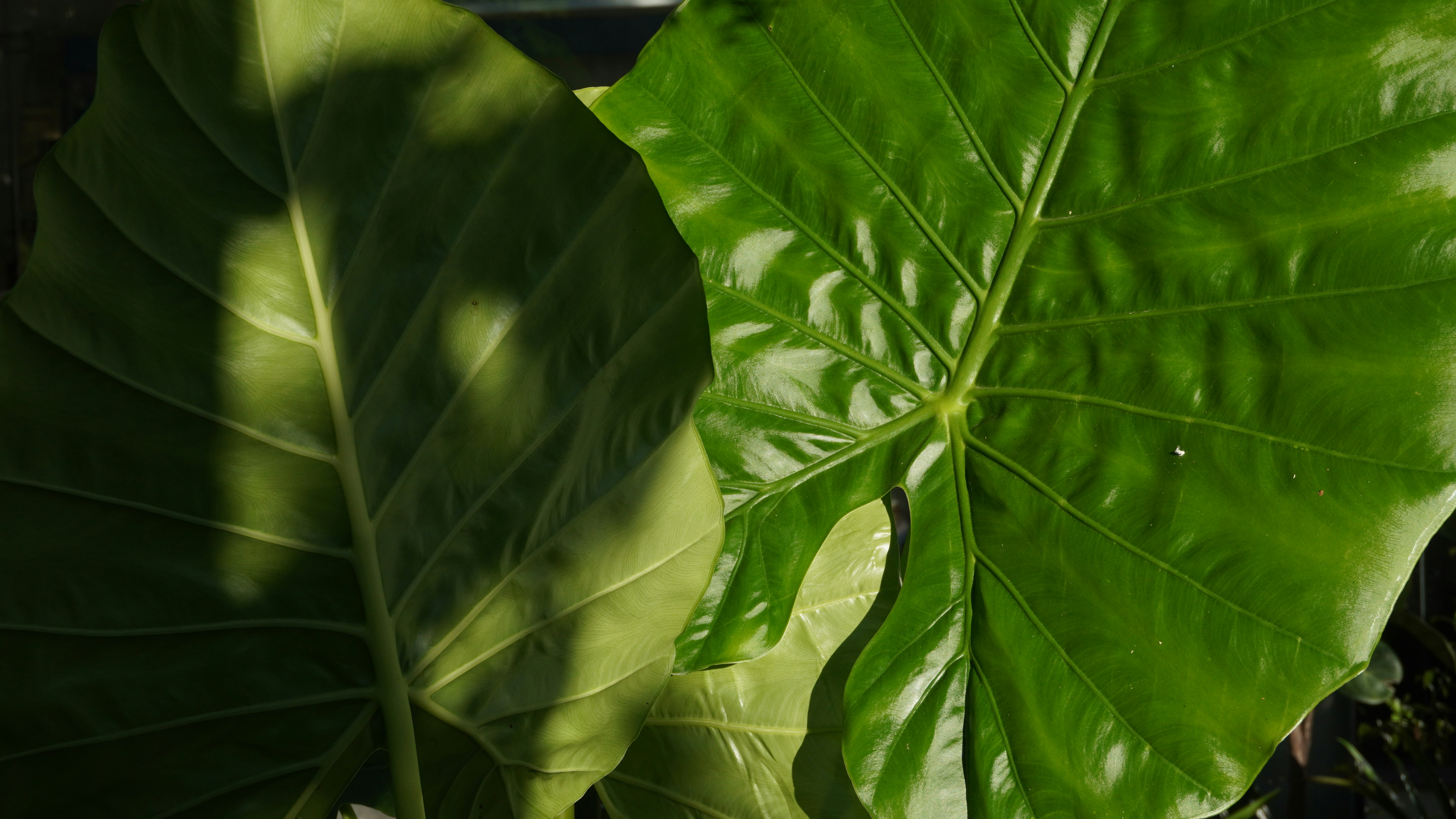 Photo by tristan9527