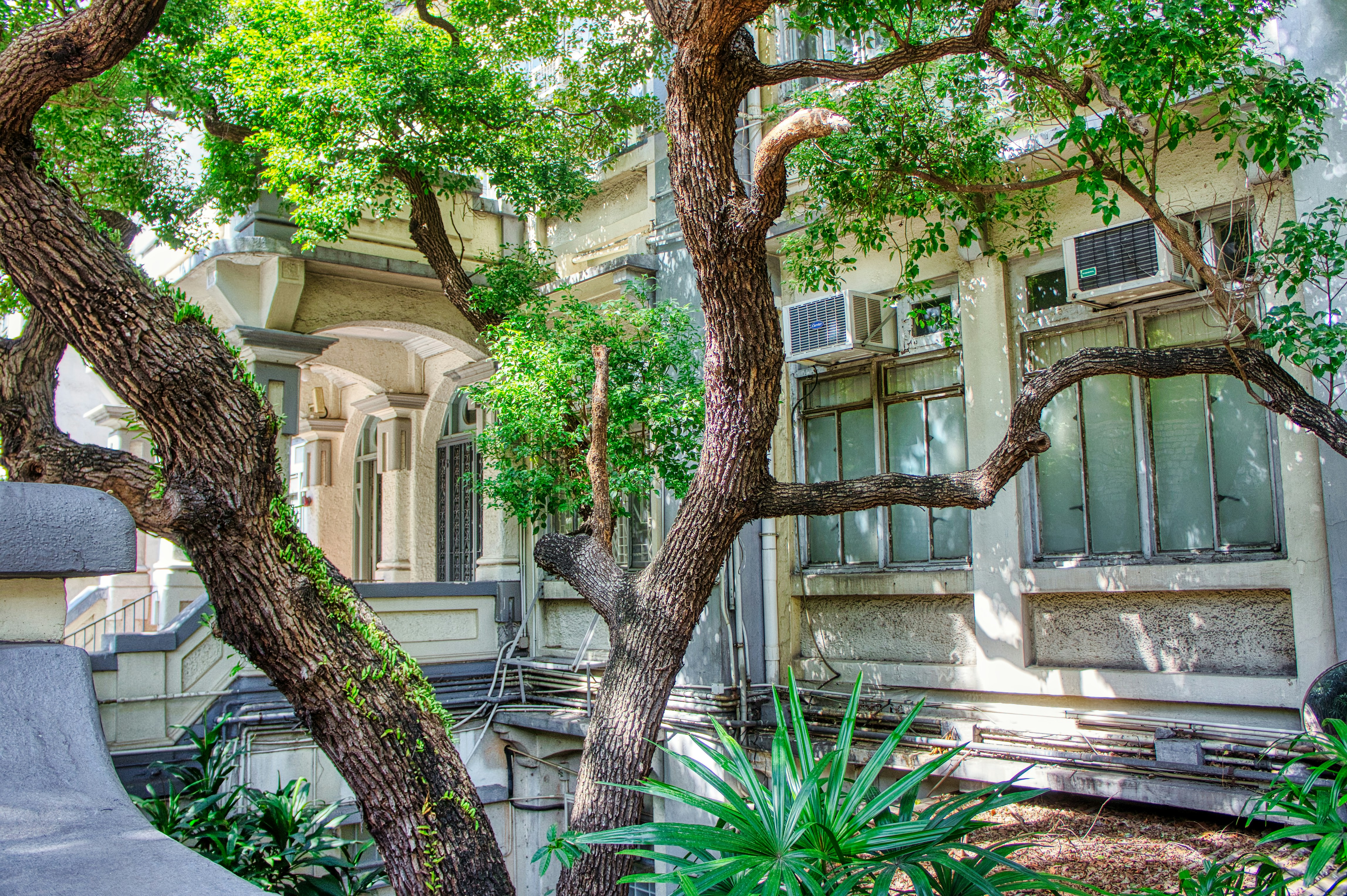 Photo by thomaskinto