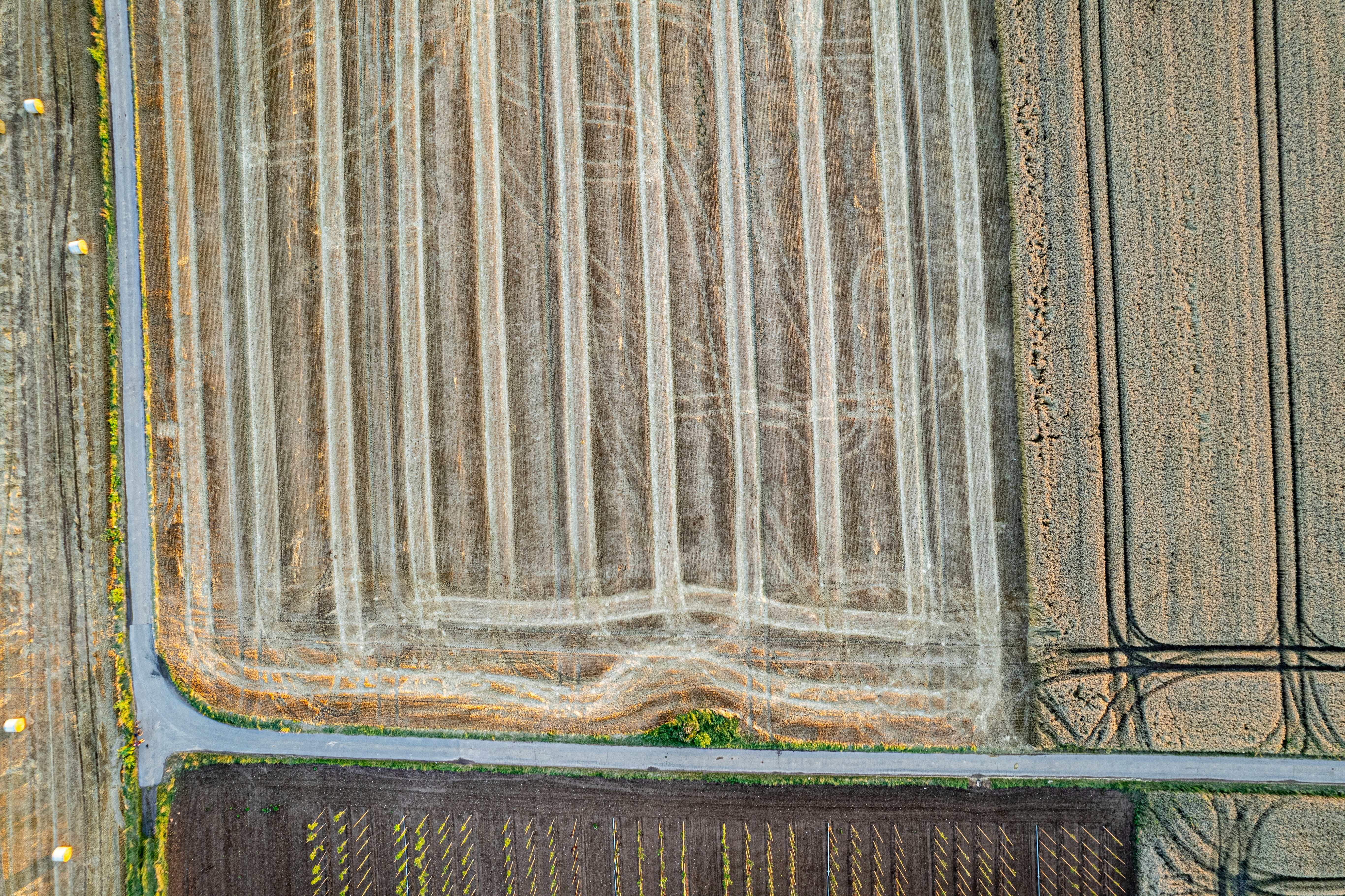 Agricultural Farmland Patterns